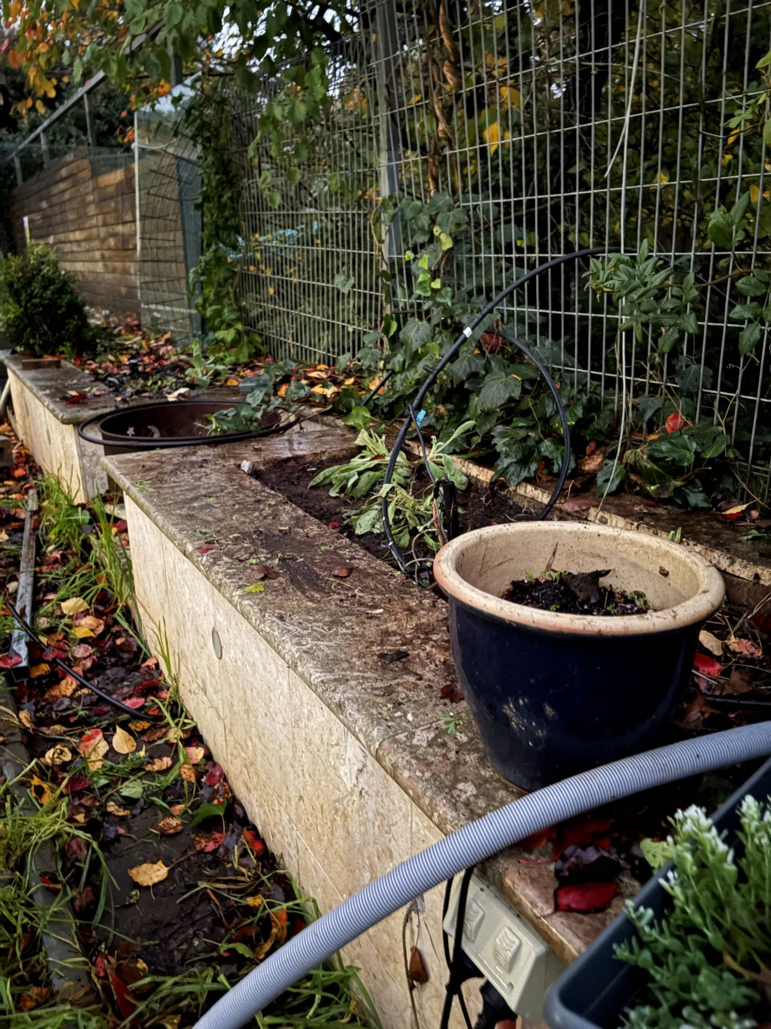 Garden Bed after_1.JPG