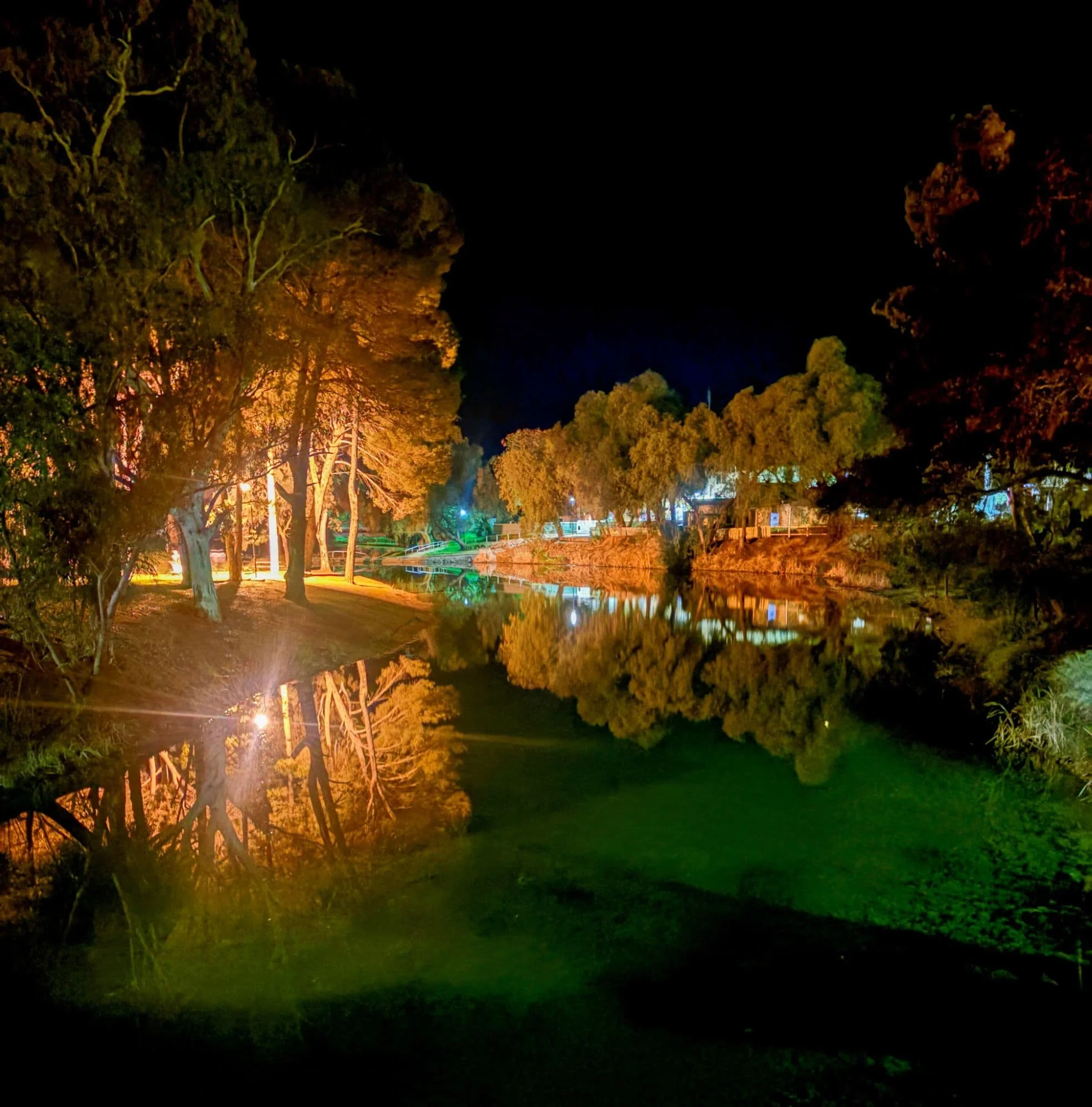 Illuminated trees line the bank of a river at night