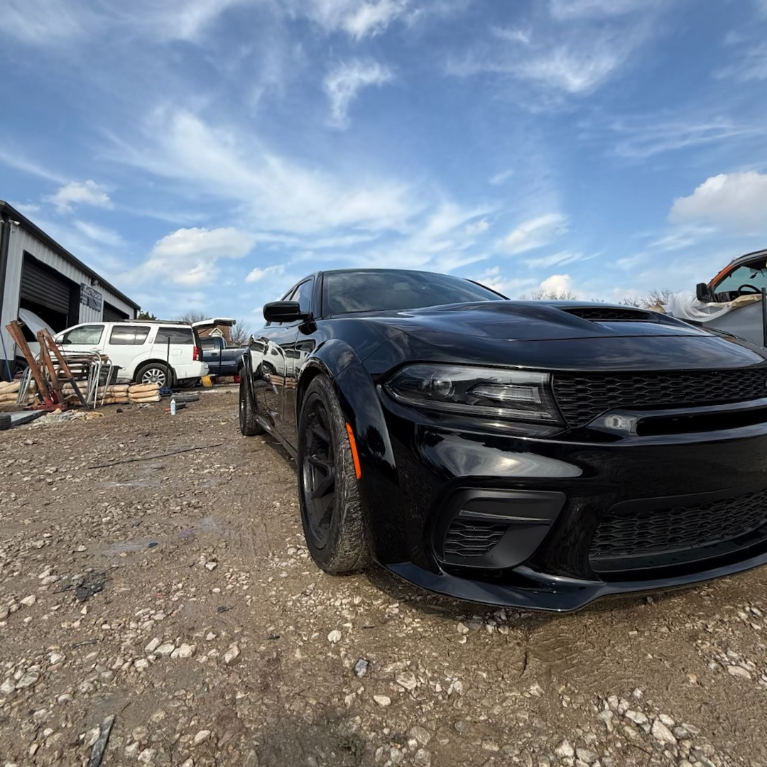 Untitled design (20).png