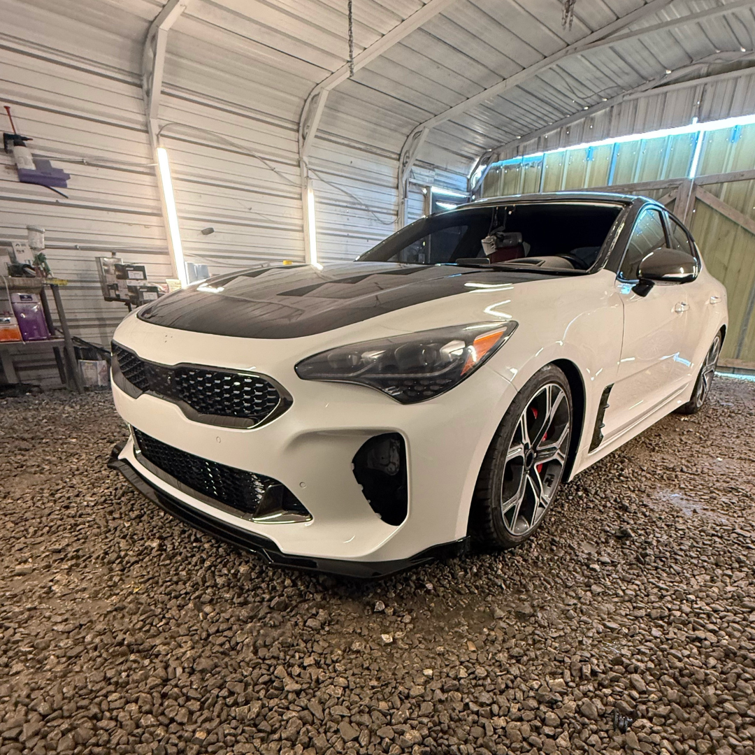 Untitled design (22).png