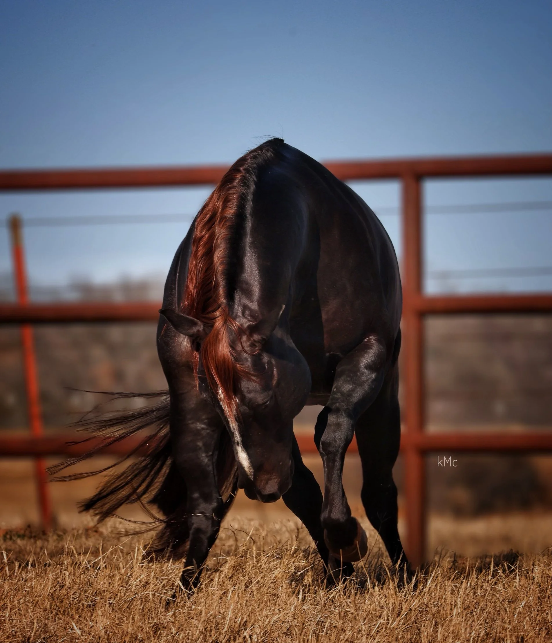 Torch Playing 1.jpeg