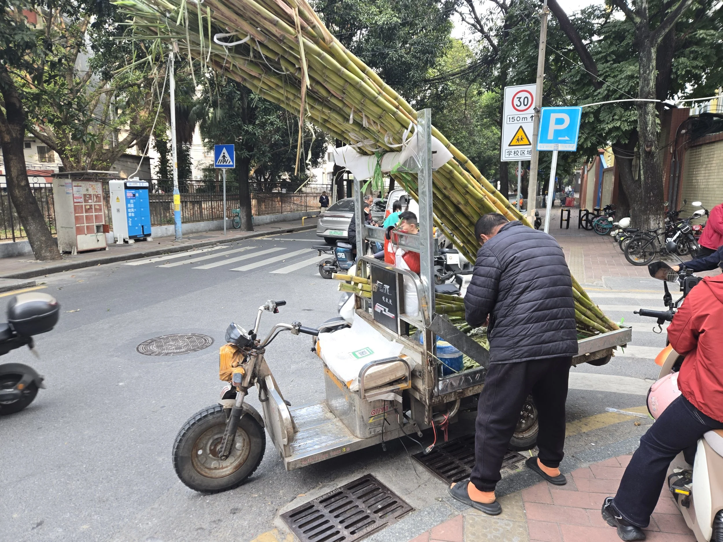 Sugarcane for the win