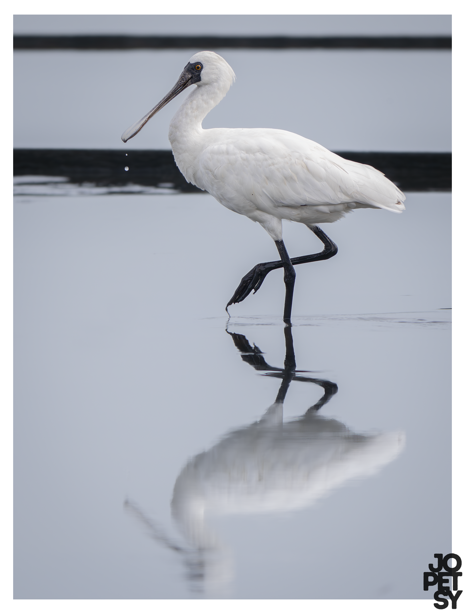 #3: Chasing Birds and Sunlight: The Mantilakan SaltPan Experience