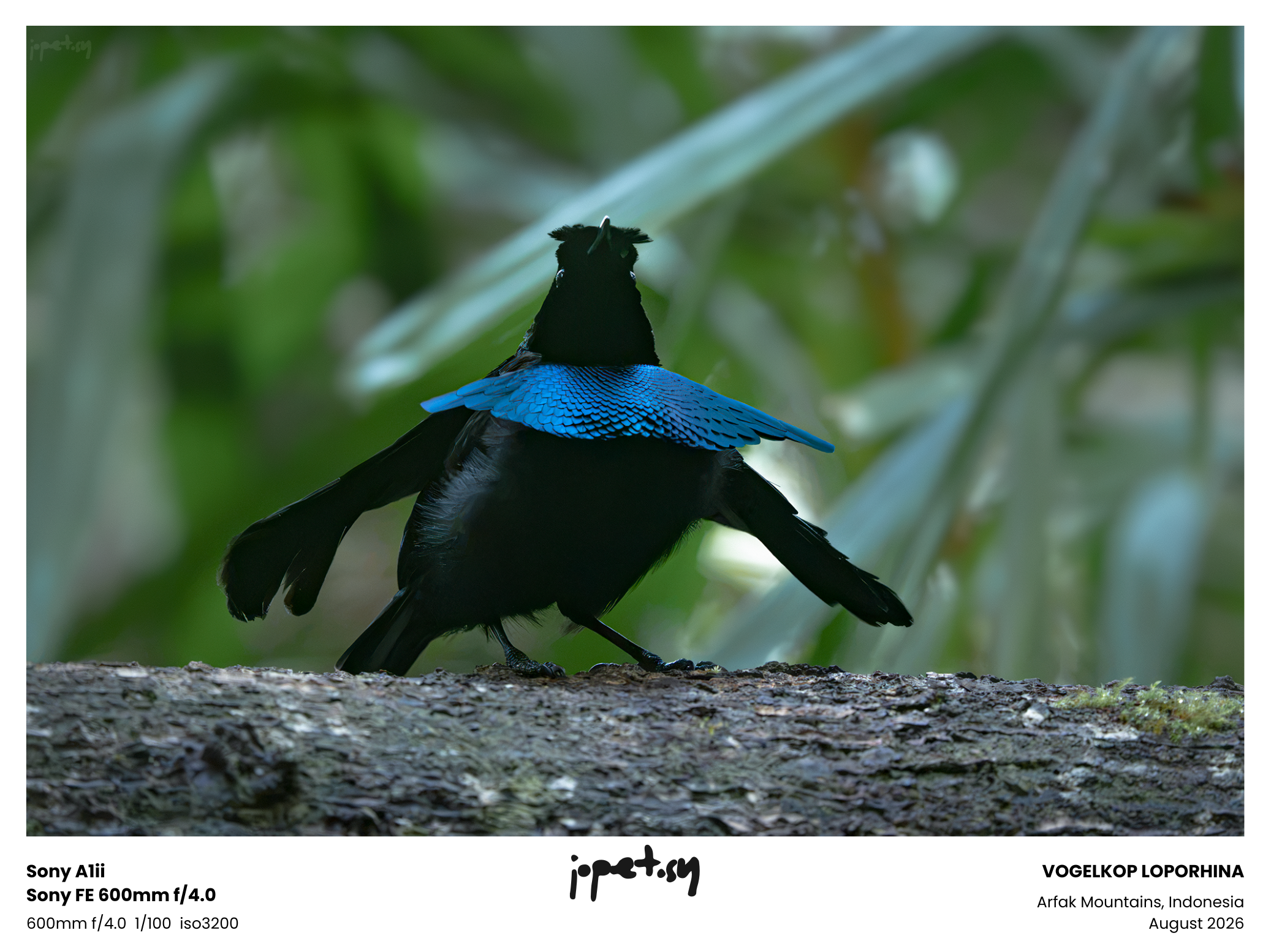 20260806-_JSY2553.png