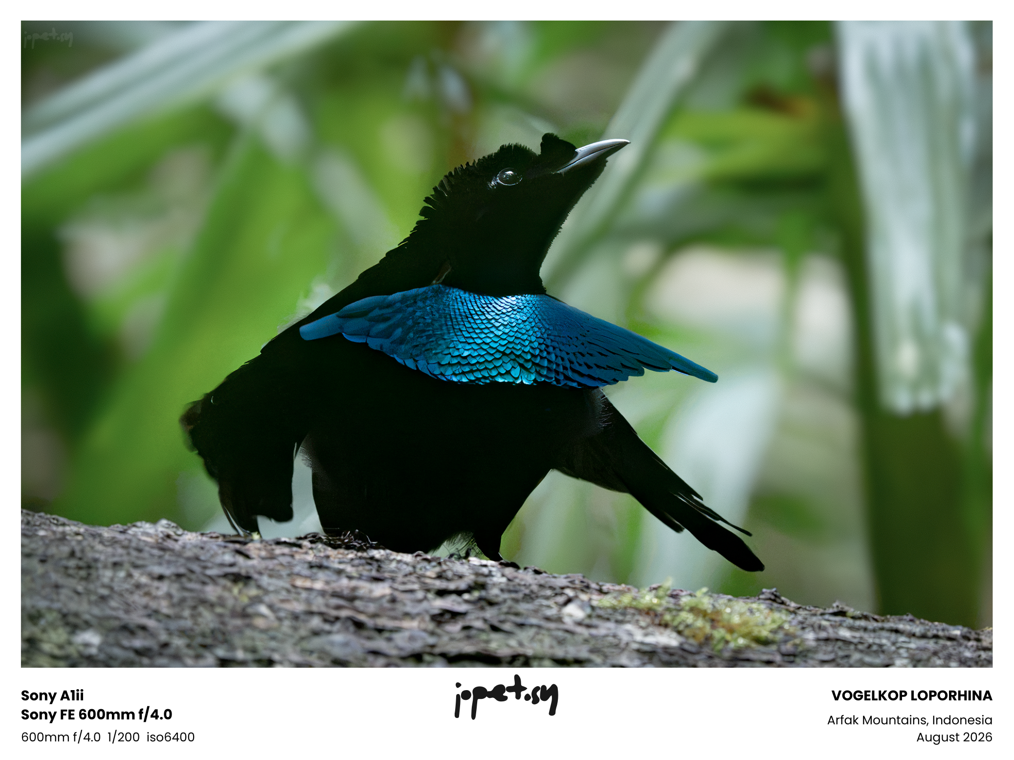 20260806-_JSY1648.png