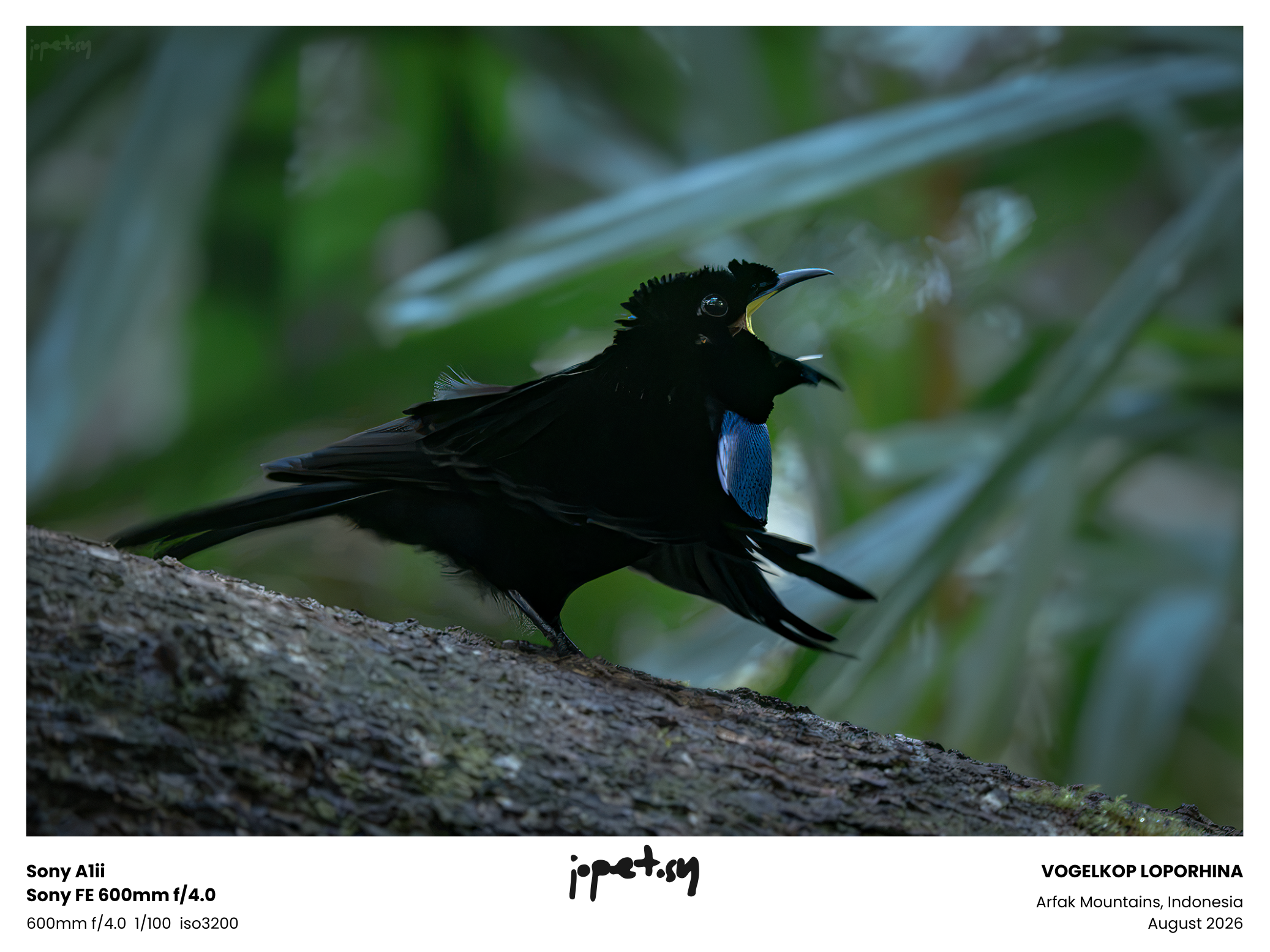 20260806-_JSY2647.png