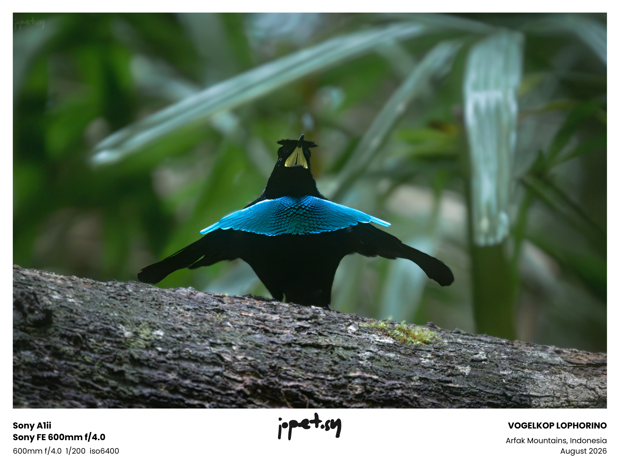 20260806-_JSY1536.png