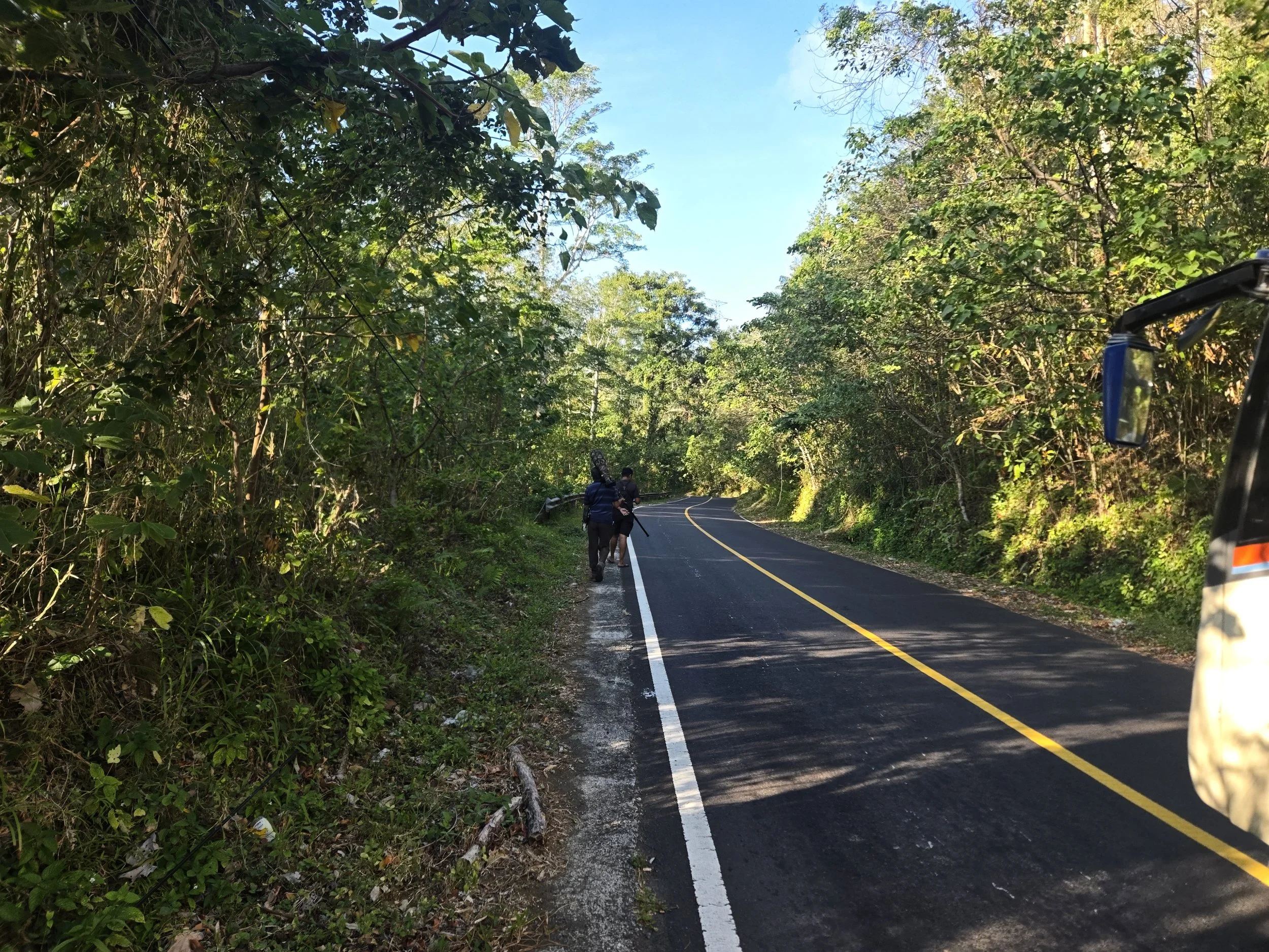 Roadside birding