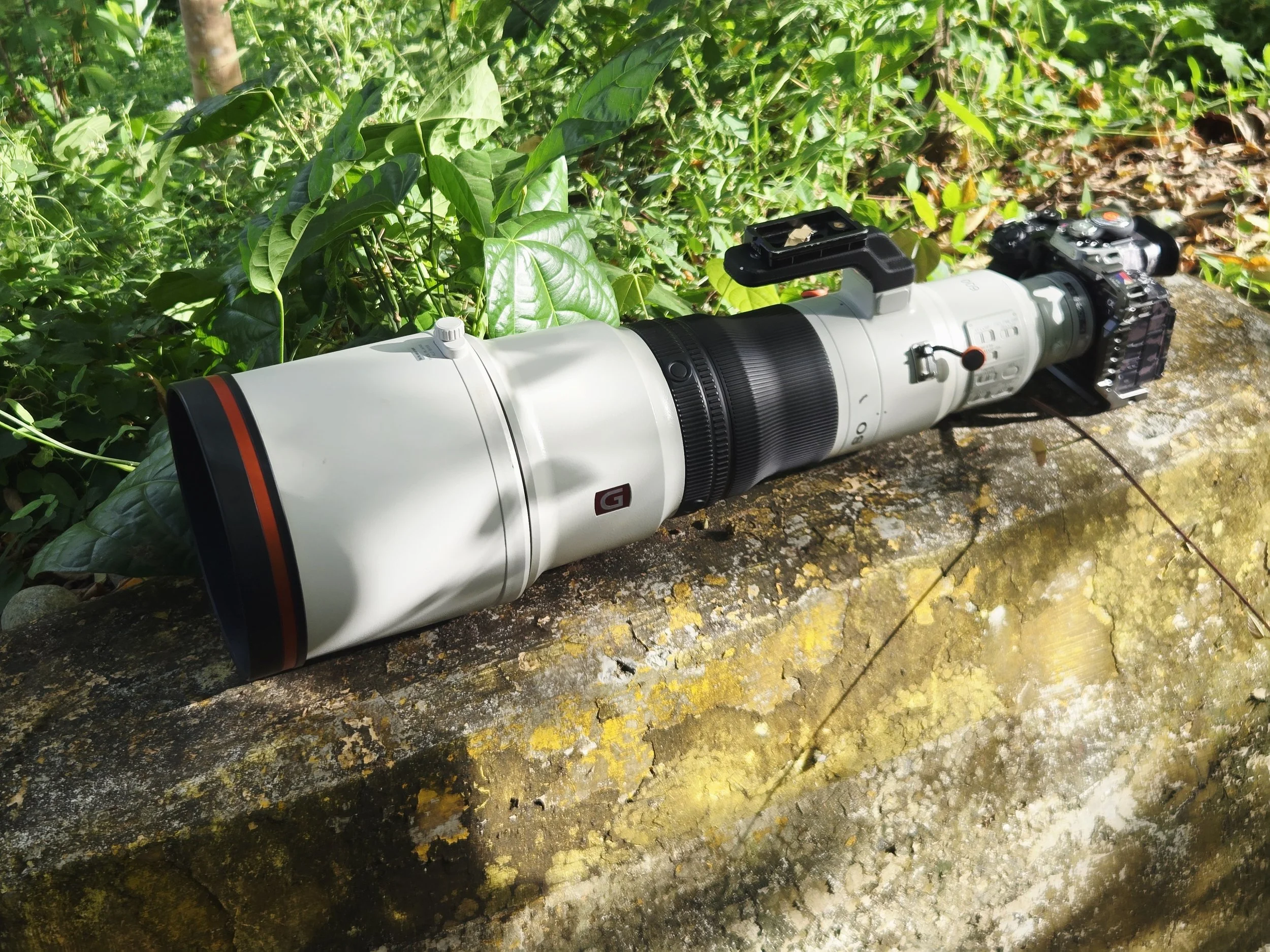A large telephoto camera lens with a camera mounted on a long white tripod, lying on a stone surface in a forested area.