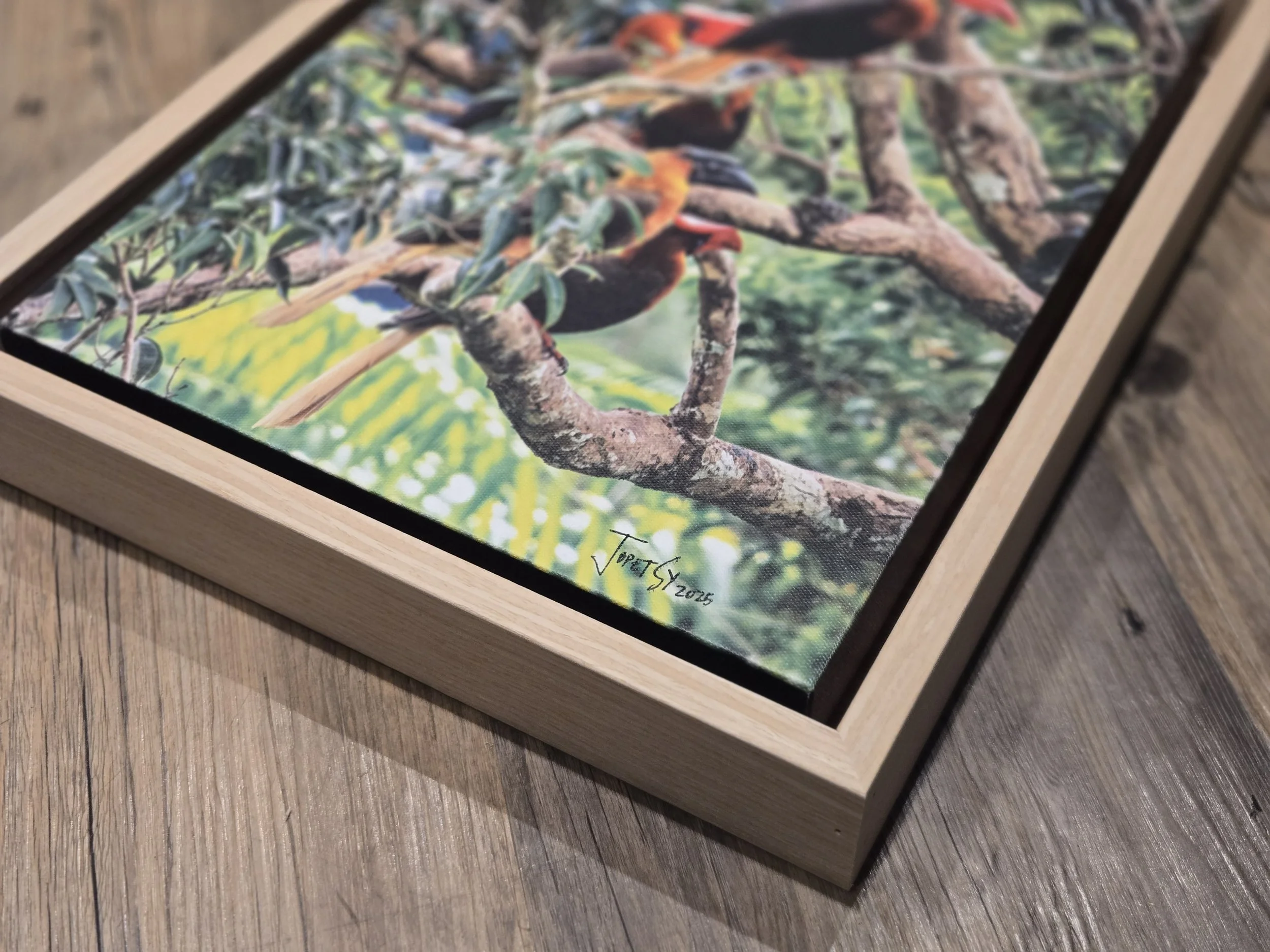Photograph of colorful parrots perched on tree branches, framed in light wood, signed by artist in bottom right corner.