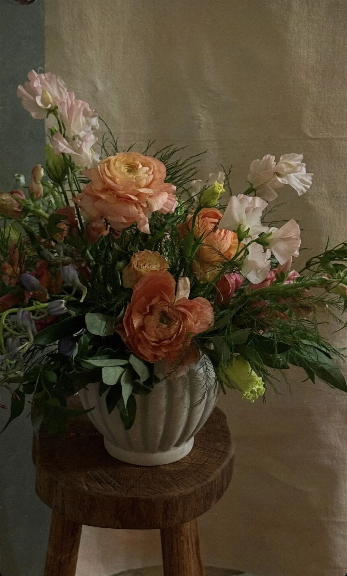 IMG_2777.jpeg