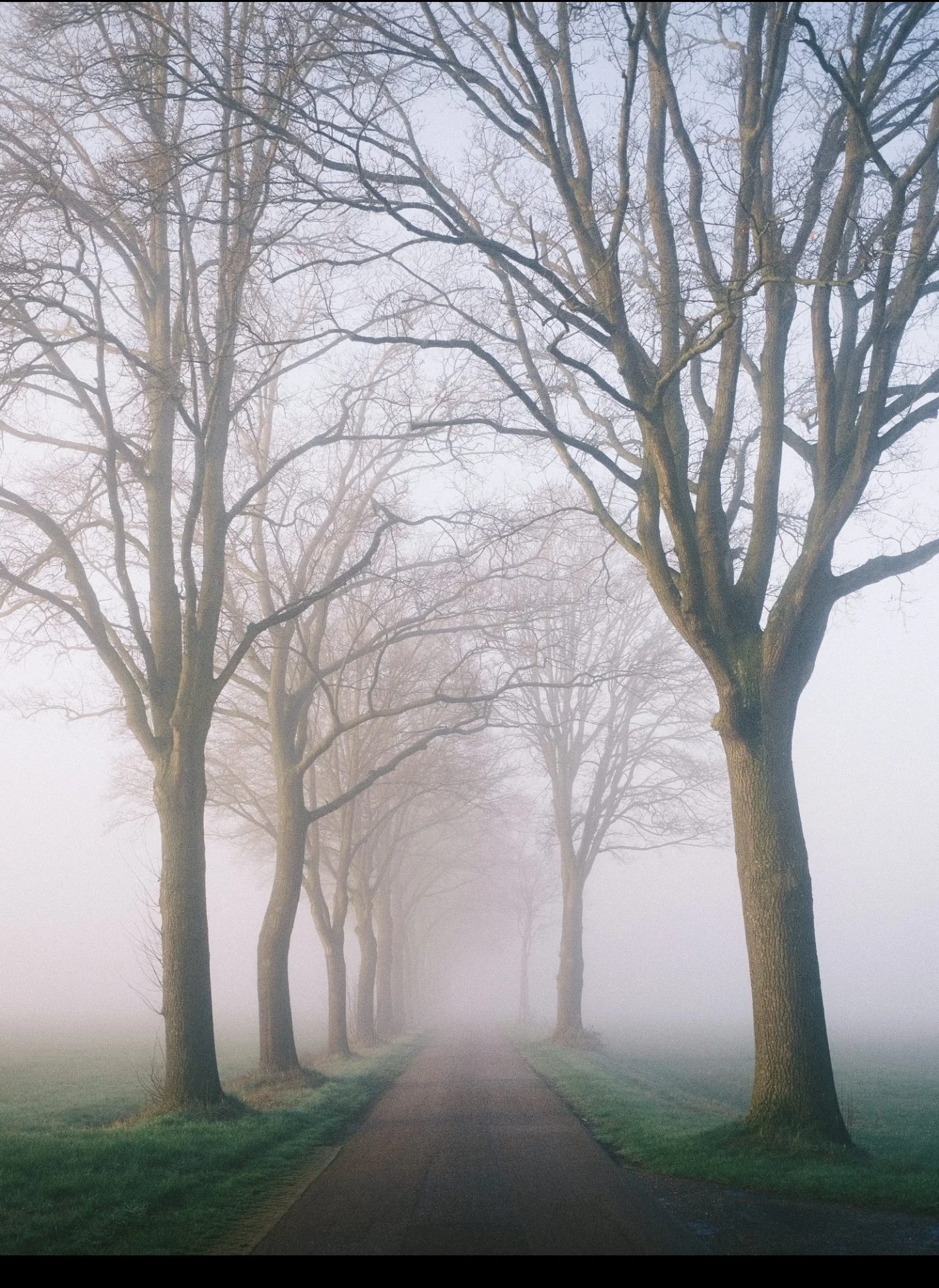 Where do I start….?