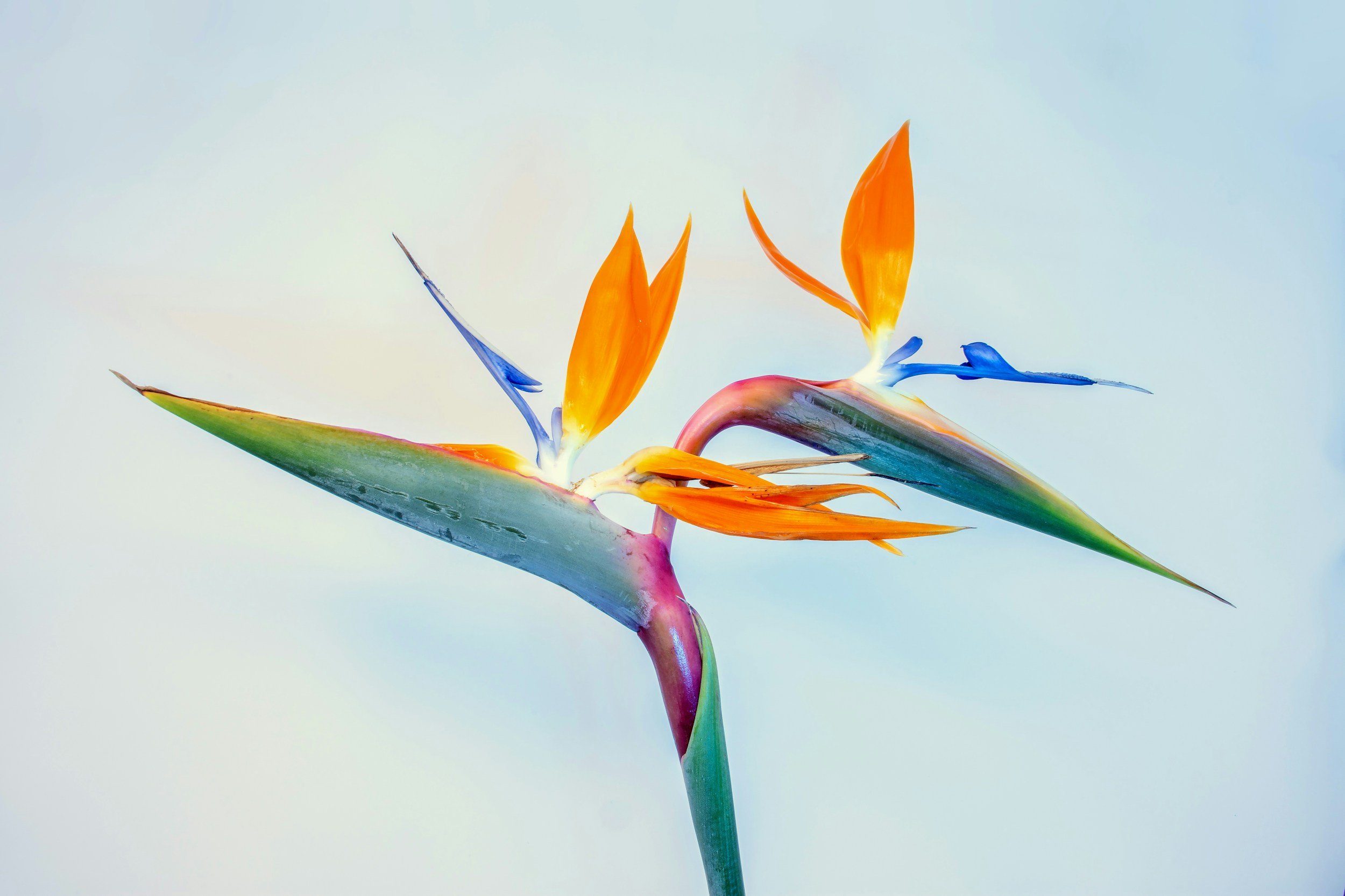 What Happens in a First Hypnotherapy Session?