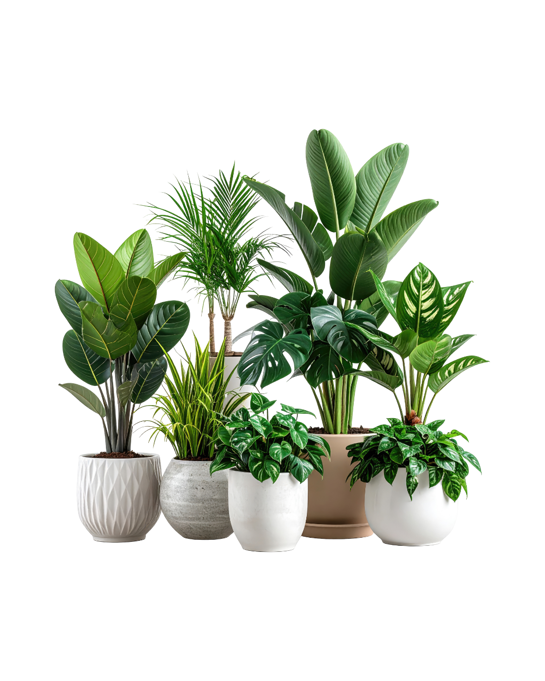 4-Session Package (most popular)