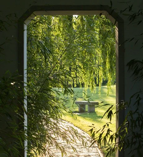 View through an arched window showing a stone bench under a hanging tree in a grassy park.