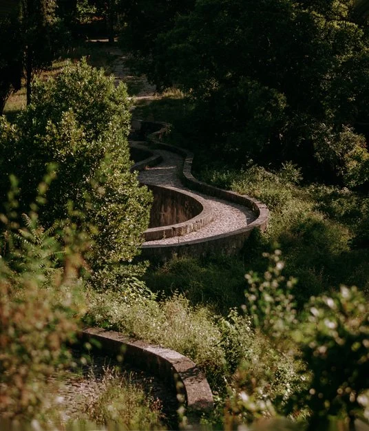 A winding stone pathway through lush green trees and bushes in a park.