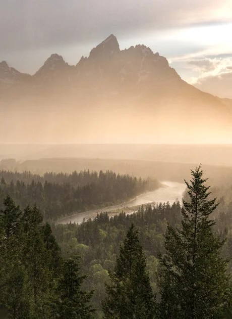 Mountain range with a forest of pine trees in the foreground, a winding river, and a misty atmosphere with cloudy sky.