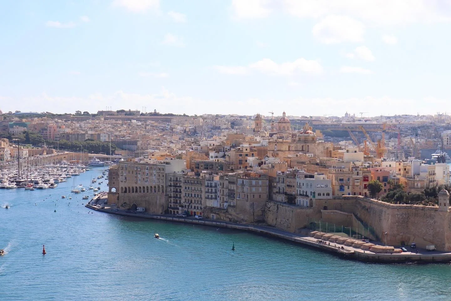 198097EF-20C8-4D25-8FA9-C951EC088BEC 2.JPG