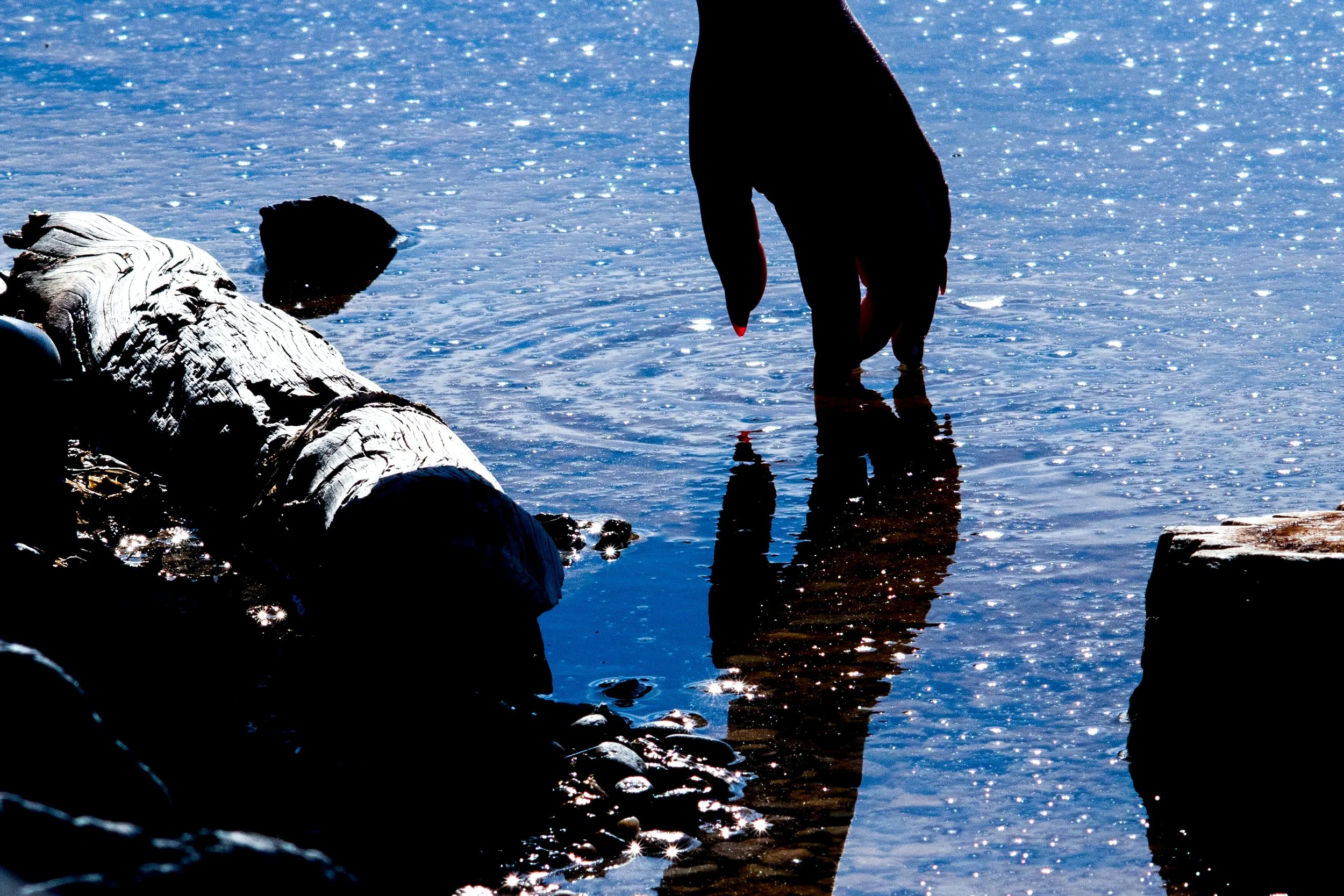 _MG_5310.jpg