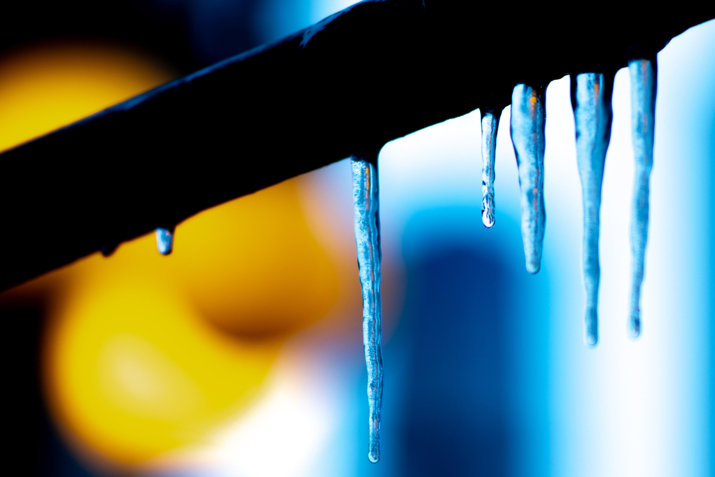 _MG_8364.jpg