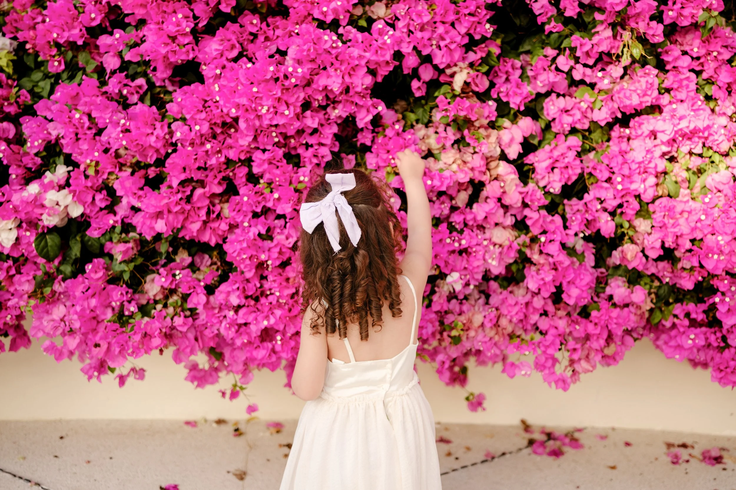 Una niña con cabello rizado y cinta blanca en el cabello, vistiendo ropa blanca, tocando flores color rosa intenso y blancas en un muro cubierto de buganvillas.