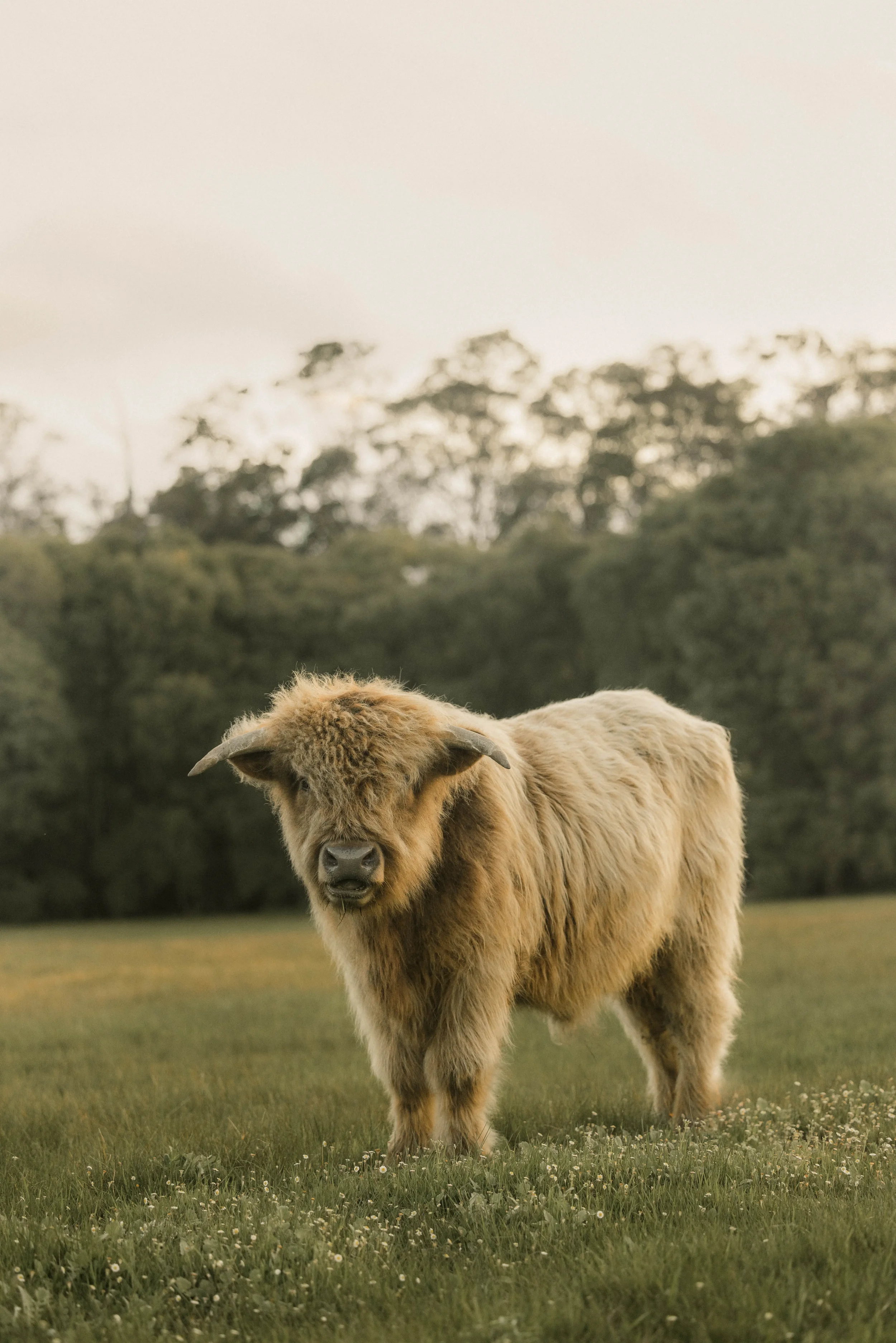 Image courtesy Tobias Mant