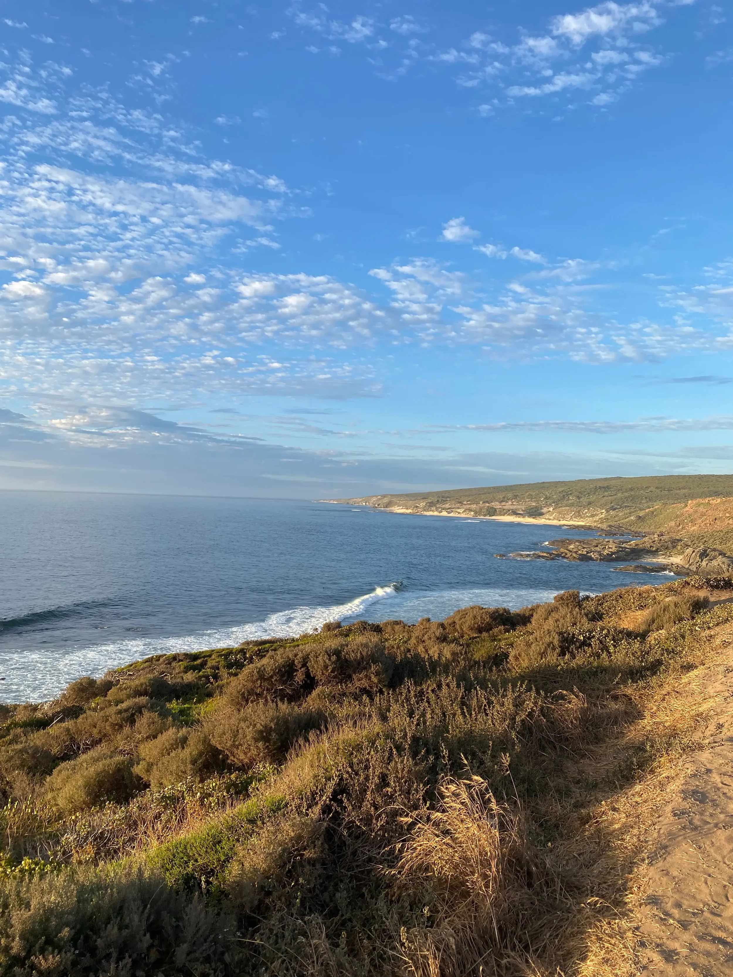 Wilyabrup cliffs and a sunlit coastal landscape with a blue sky, scattered clouds, ocean waves, and a landscape of shrubs along a cliff.