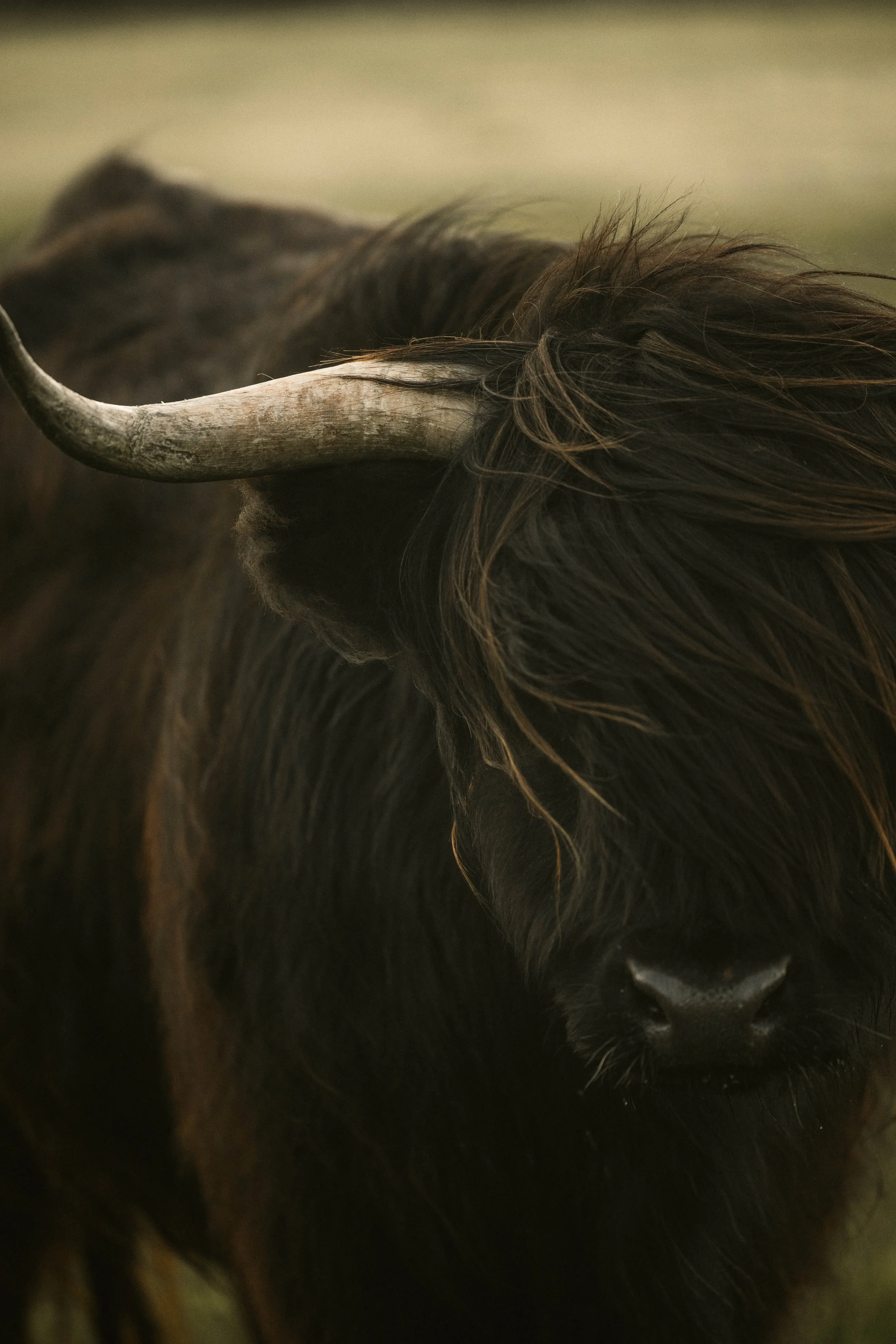 TOBIAS - September 18, 2024 17-58-04.webp