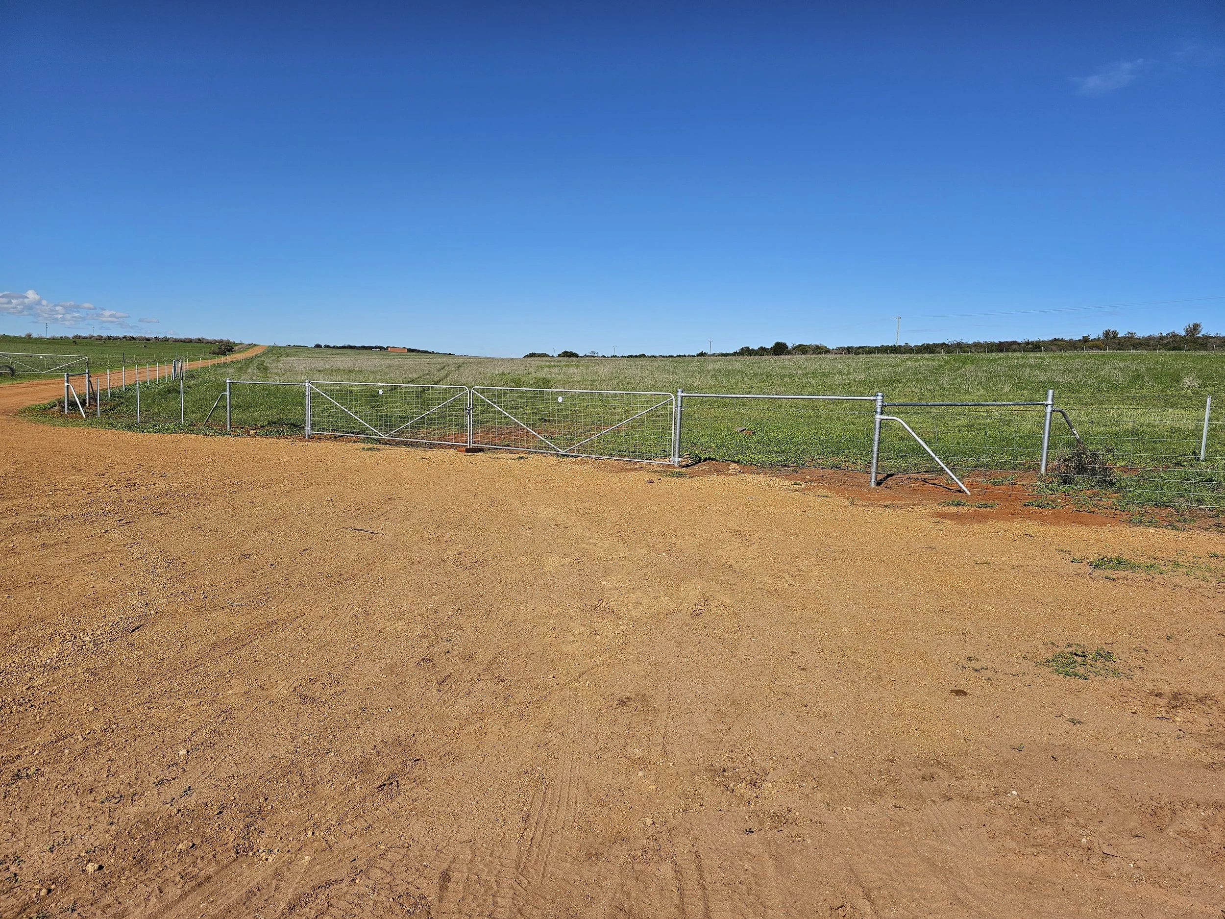 20240714_121154 1.jpg