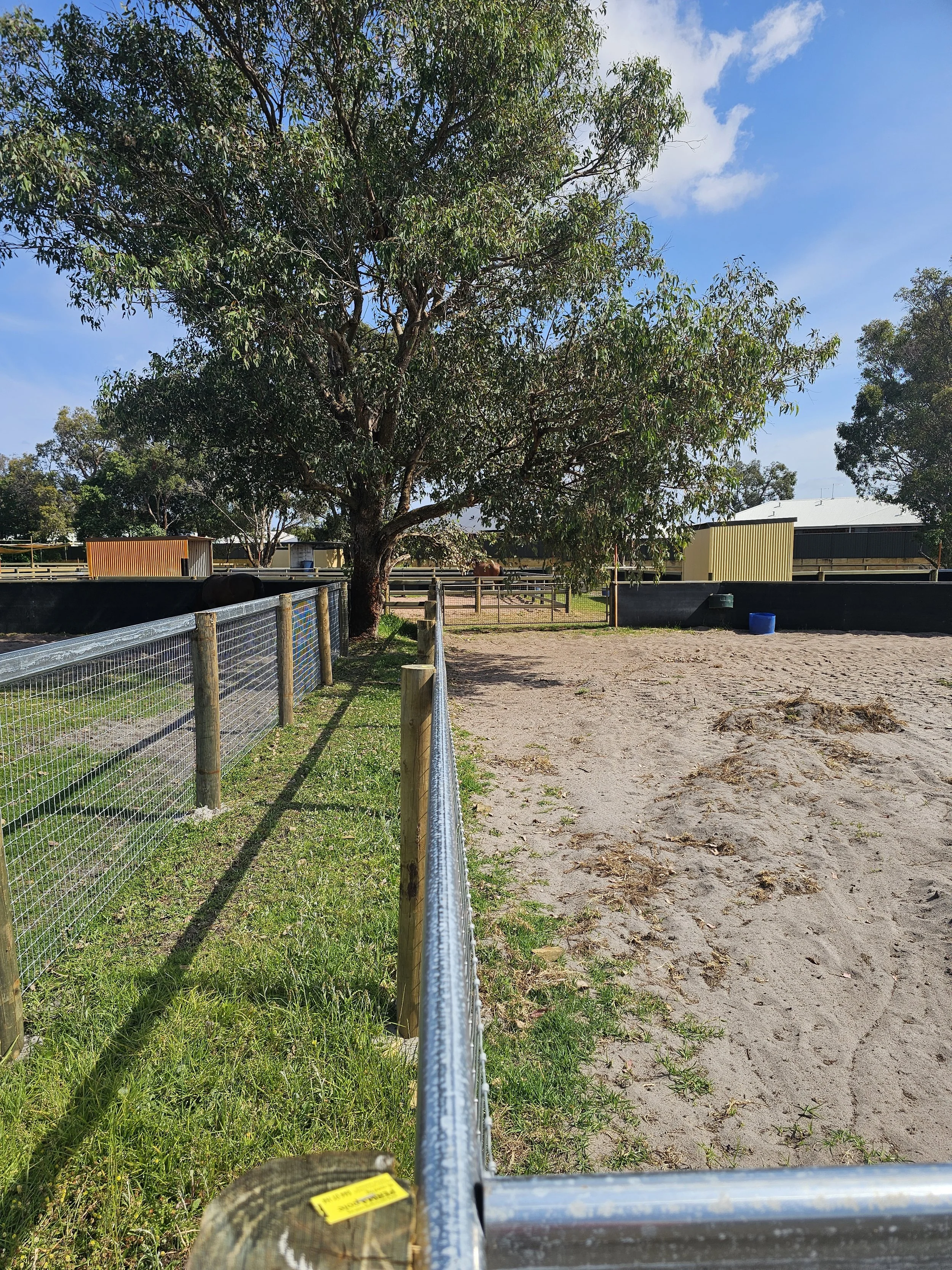 20241019_092444 1.jpg