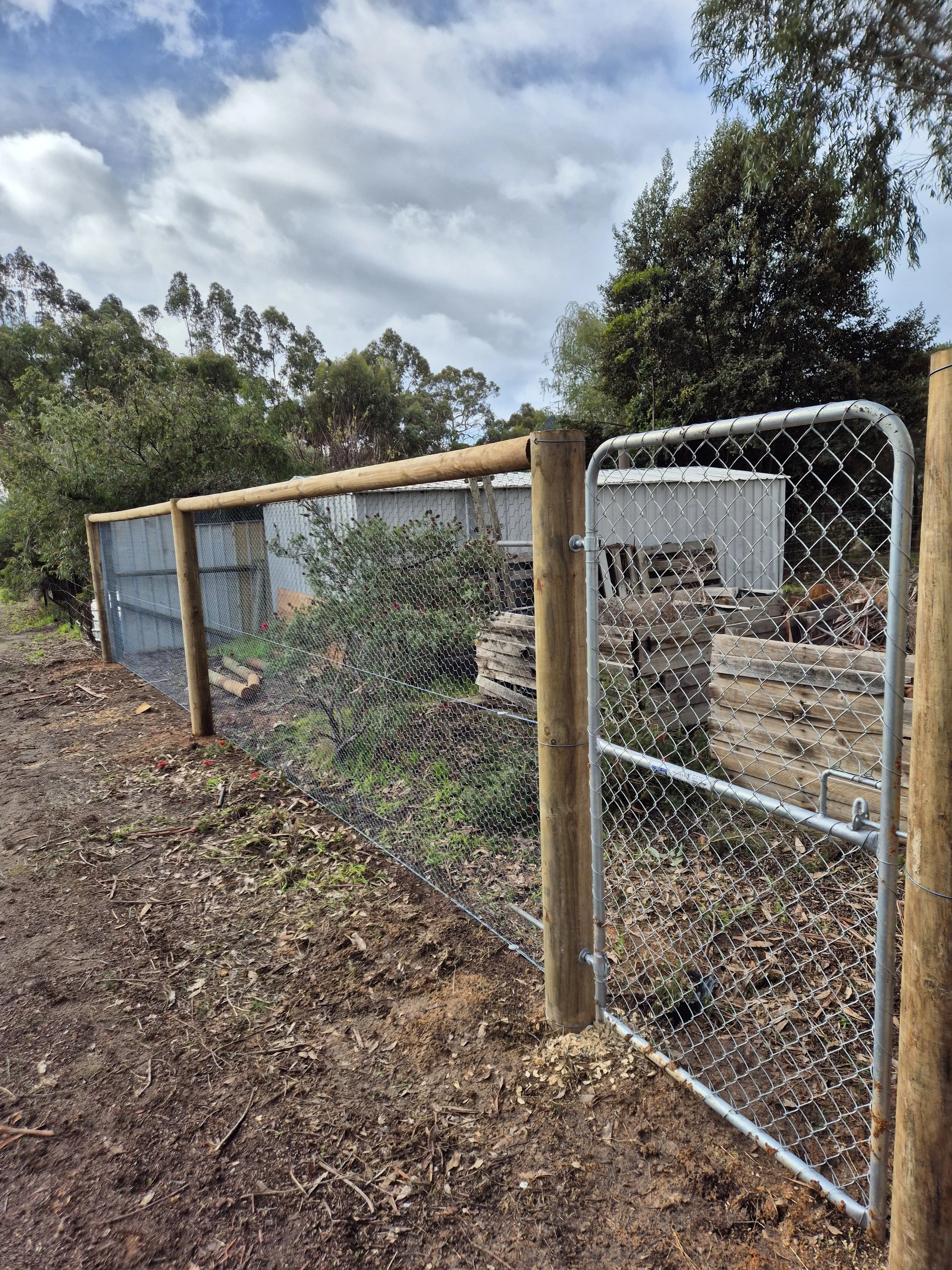 20250621_140817 1.jpg