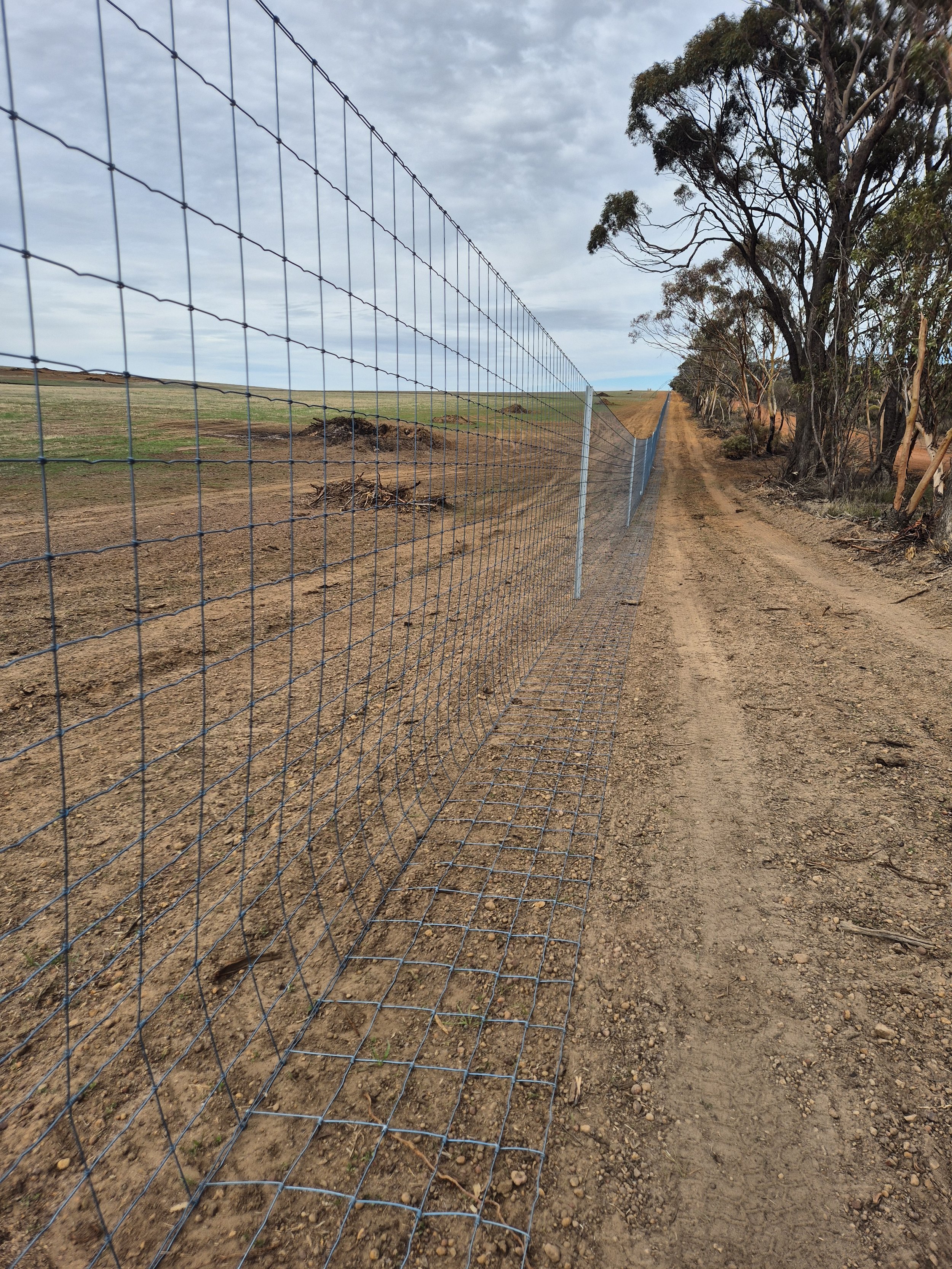 20250502_112018 1.jpg