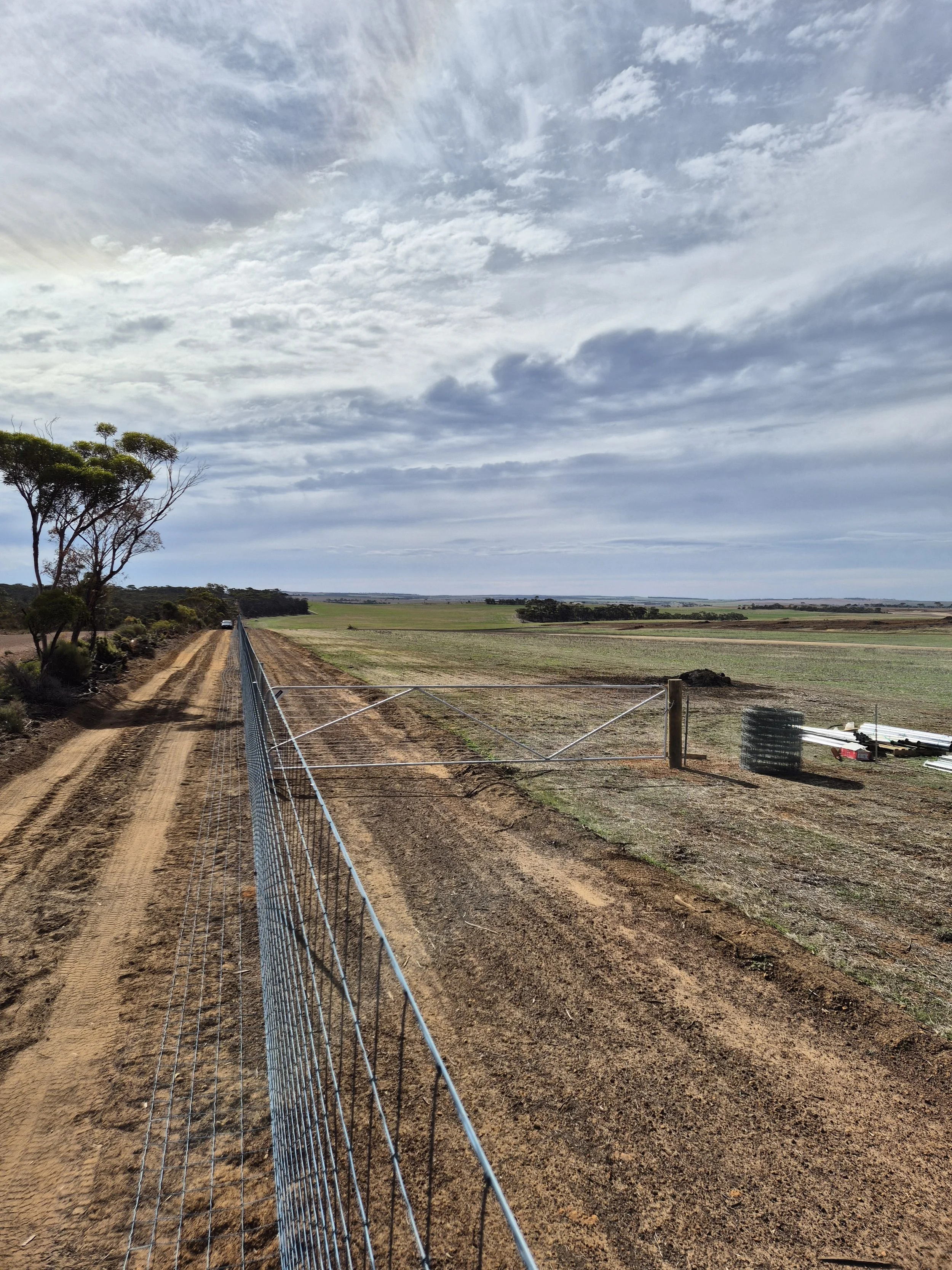 20250502_124452 1.jpg