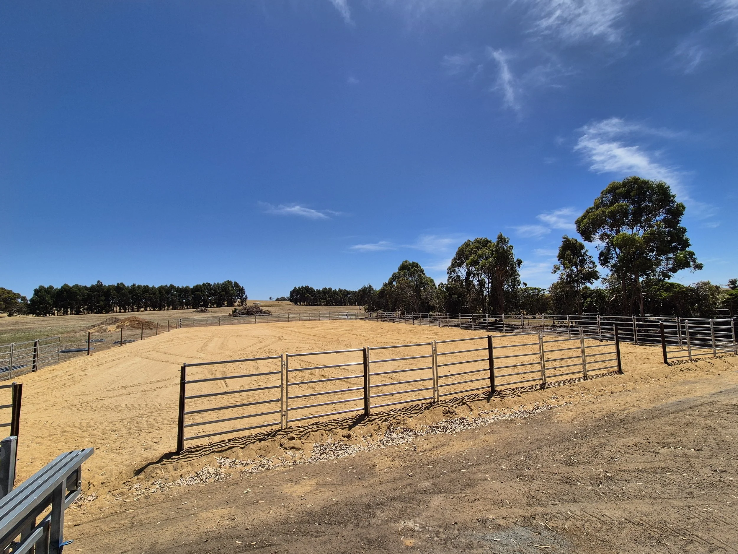 20251214_103142 1.jpg