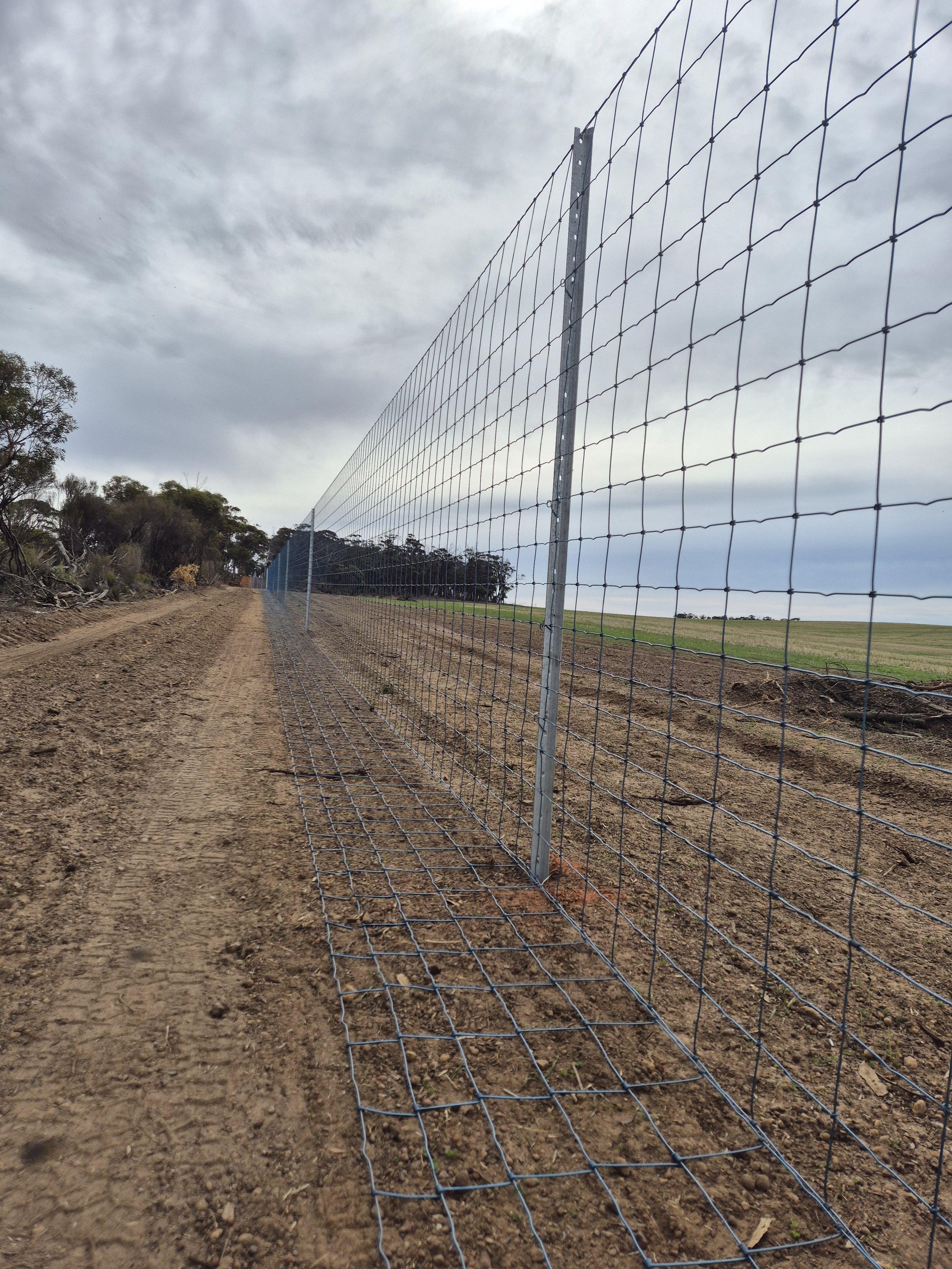 20250502_112026 1.jpg