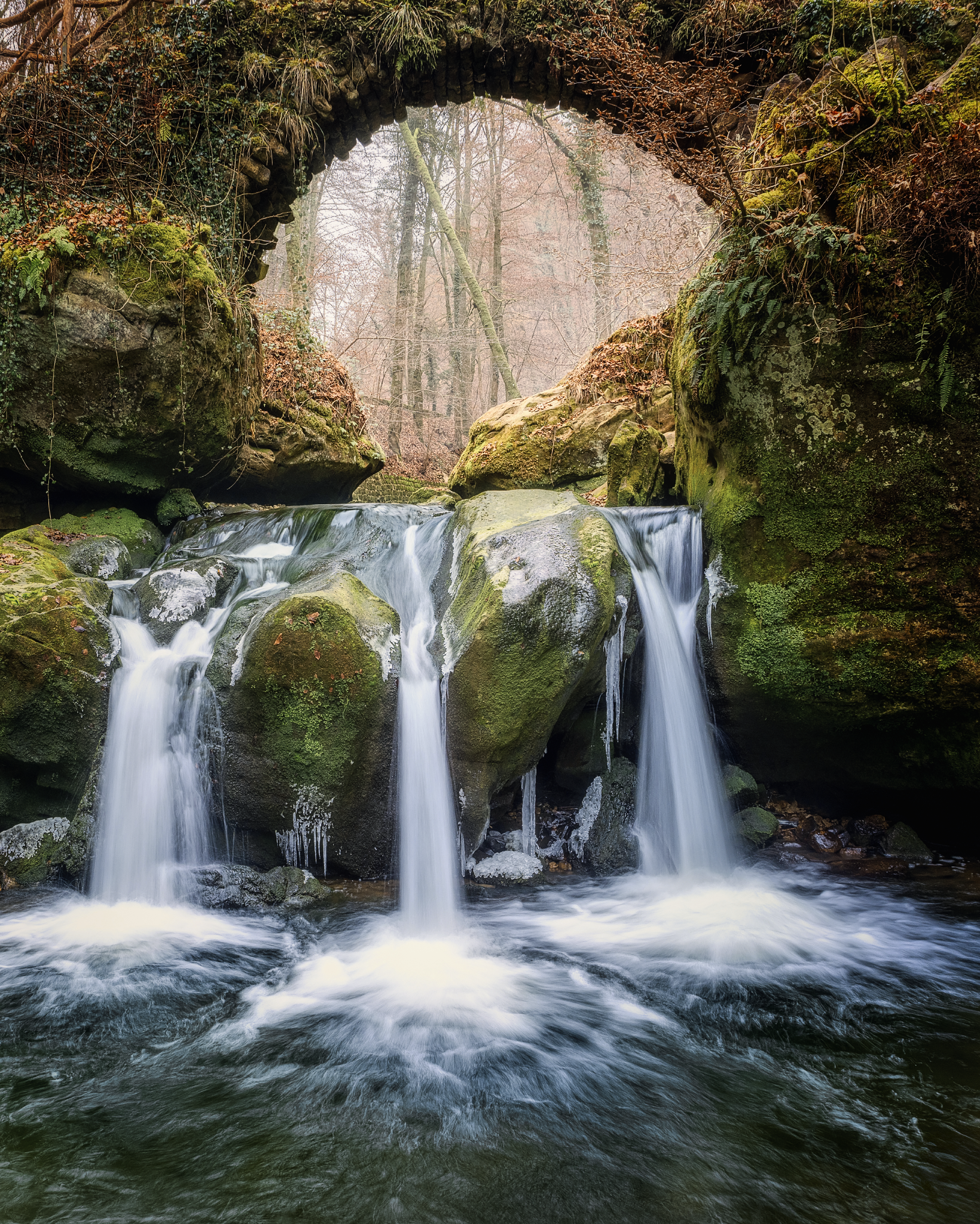 IMGP0113-TopazAdjust-crop-01_Long Edge_1639x2048_U_70.png