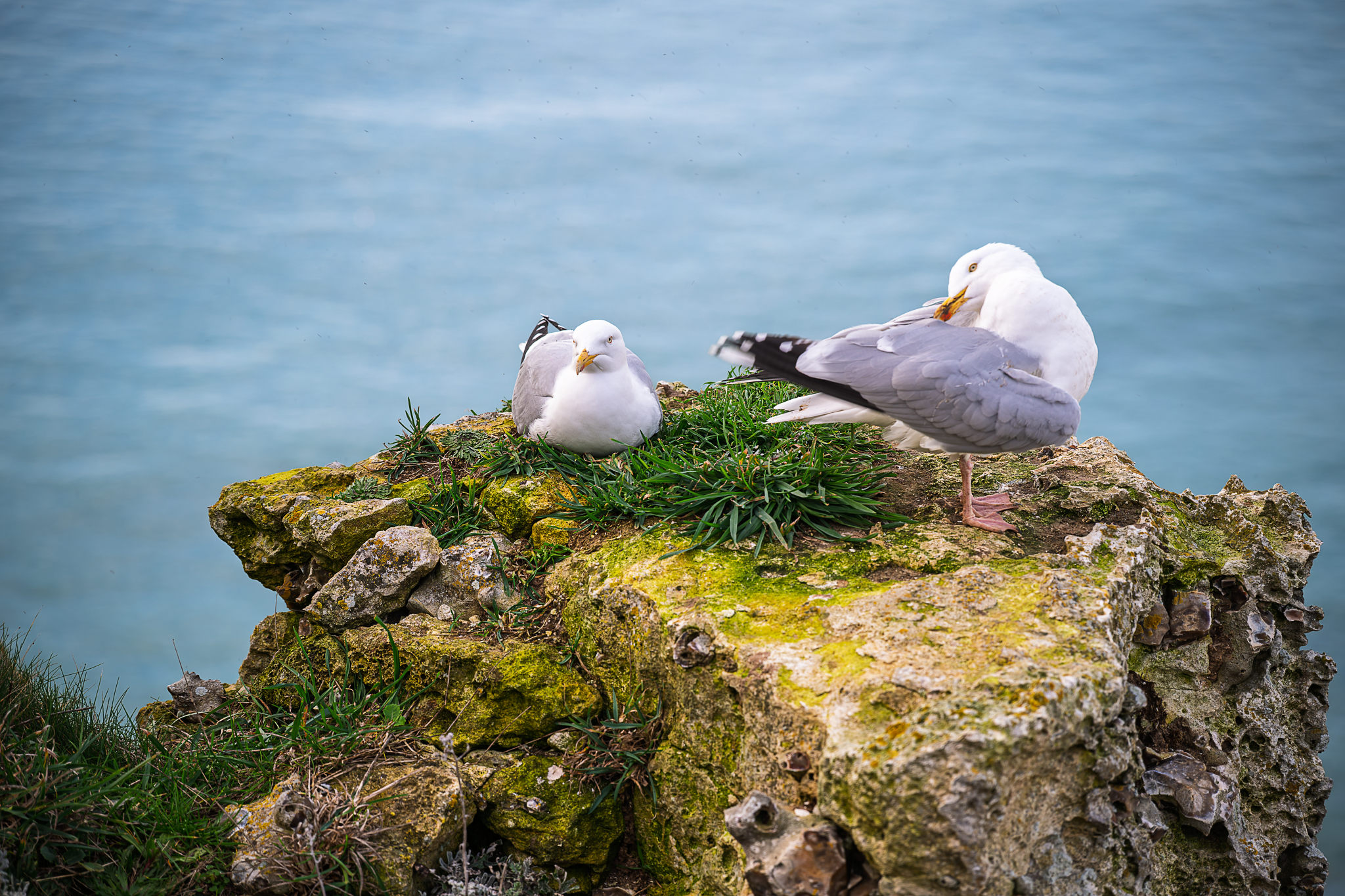 _OZ80667-DxO_DeepPRIME 3_Long Edge_2048x1365_U_70.png