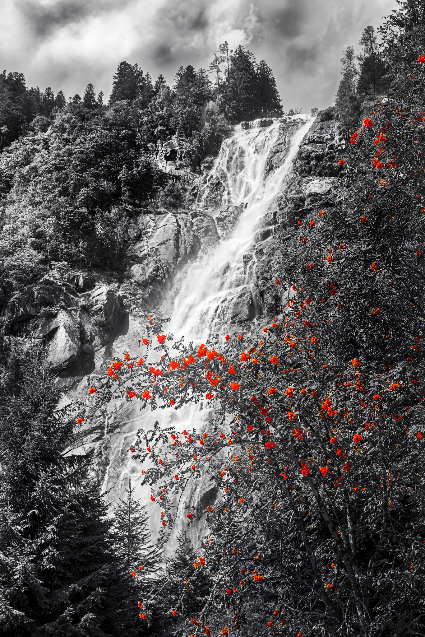 IMGP2021-DNG_DxO_DeepPRIME-Edit-2-EditR-FINAL-OK-4_1367x2048_U_70_Long Edge.png