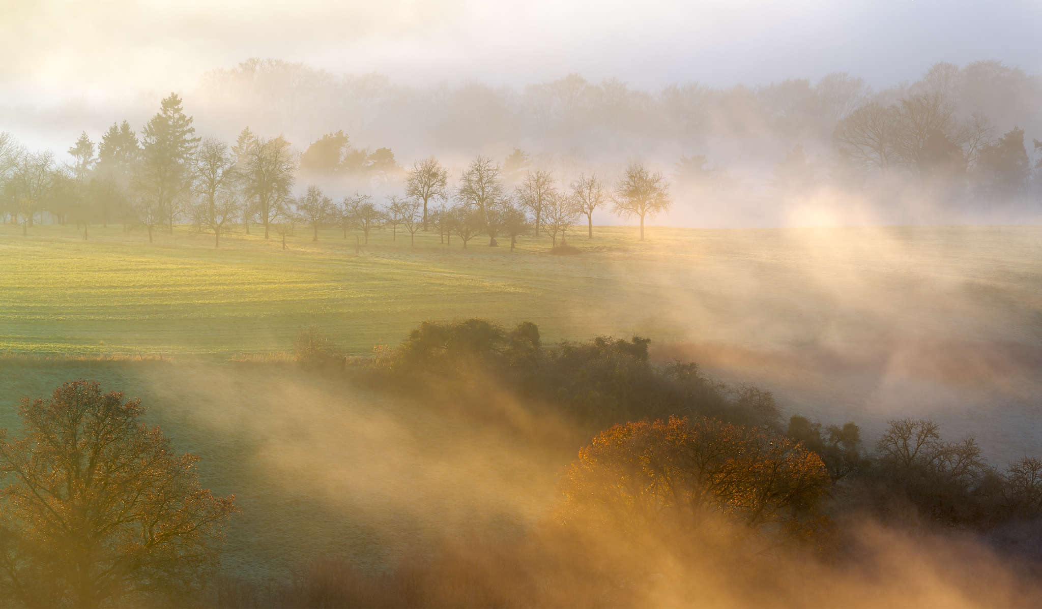 _DSC1581_DxO-Pano-Edit-LUM-41,88x24,5cm-04-OK_2048x1198_U_70_Long Edge.png