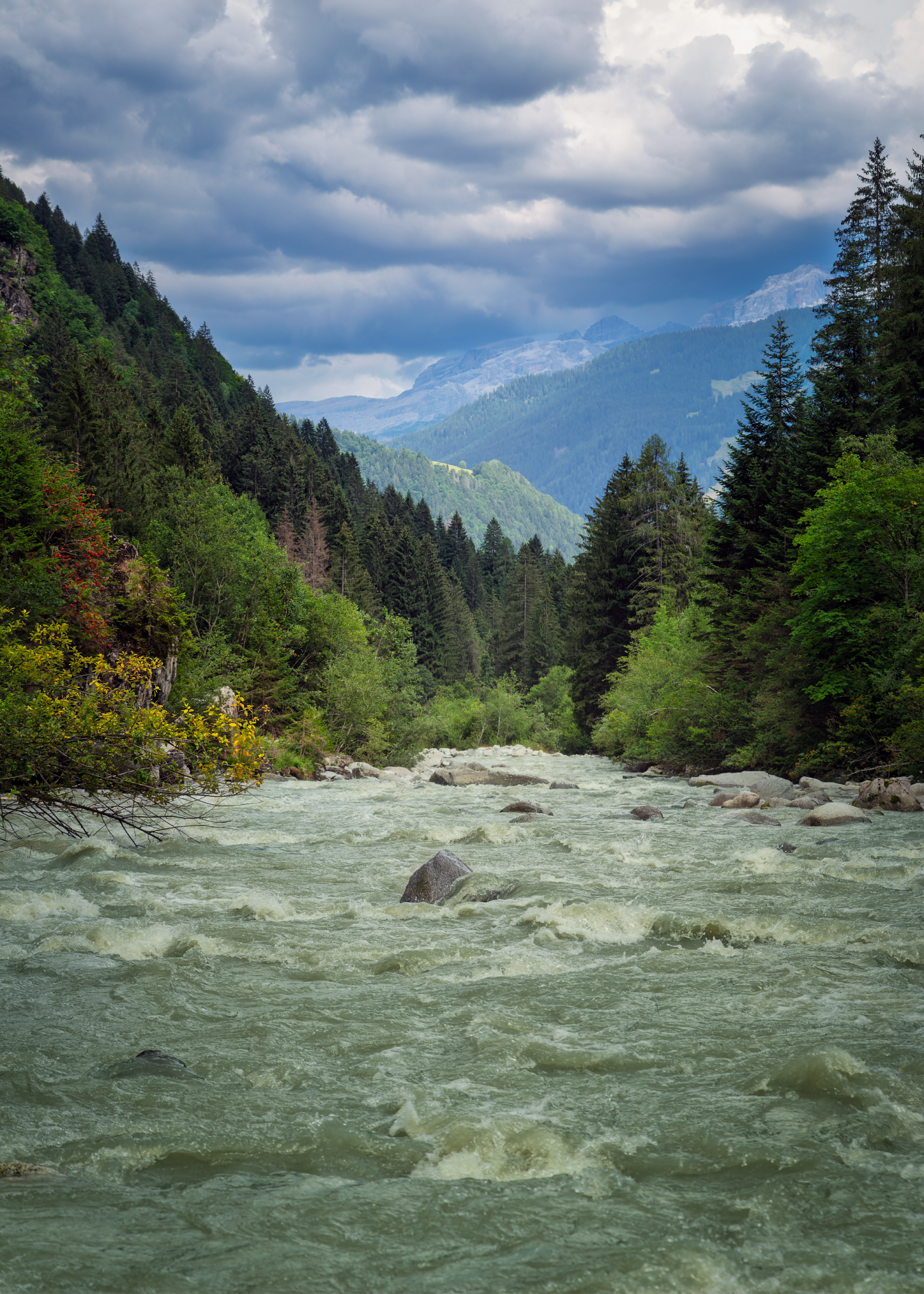 IMGP1988-DxO_DeepPRIME 3_Long Edge_1463x2048_U_70.png