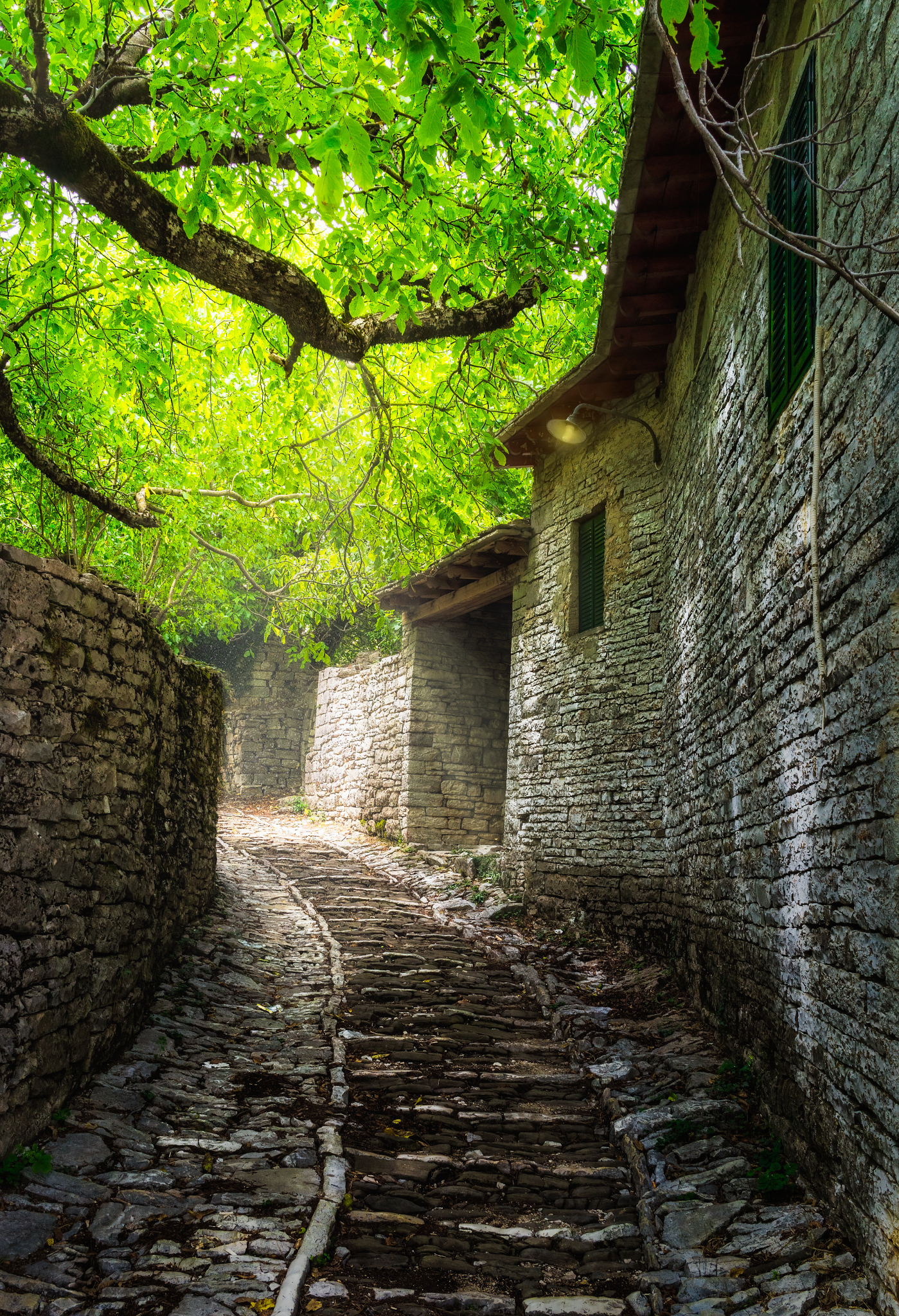 _DSC2641-Edit-Light-OK-5-noLight-B-41x28cm_Long Edge_1399x2048_U_70.png