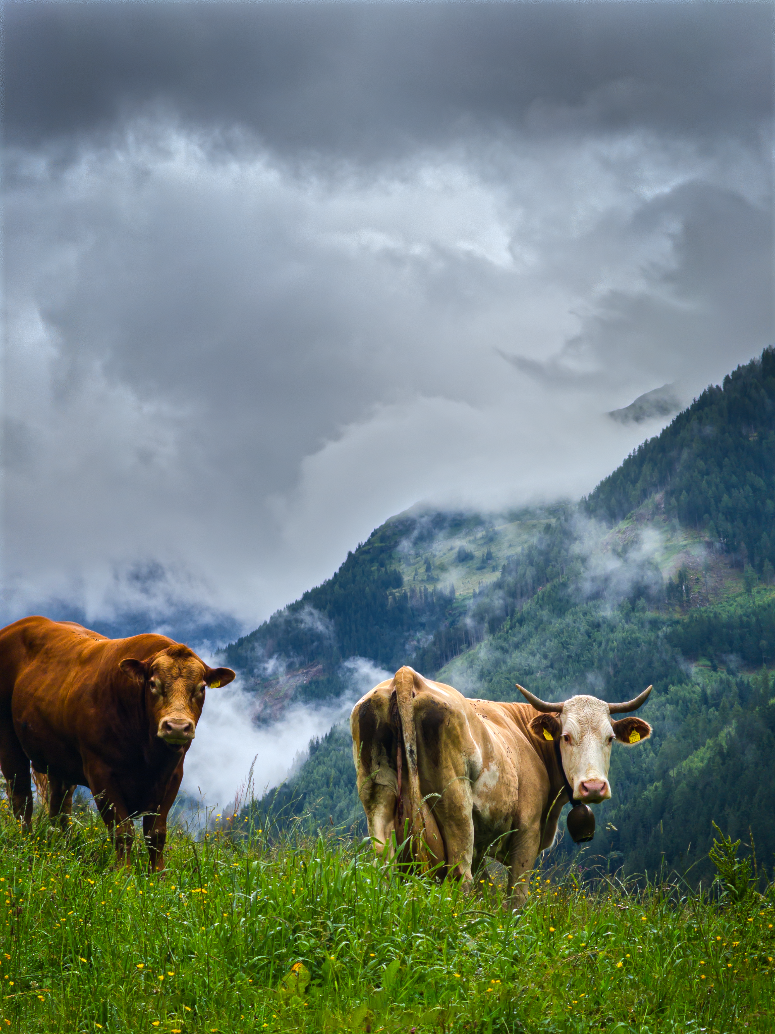 UKLP9576-Edit_Long Edge_1536x2048_U_50.png