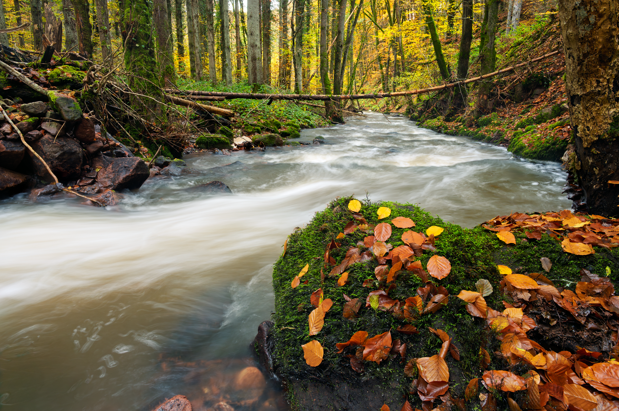 _DSC4653-Edit_Long Edge_2048x1359_U_70.png