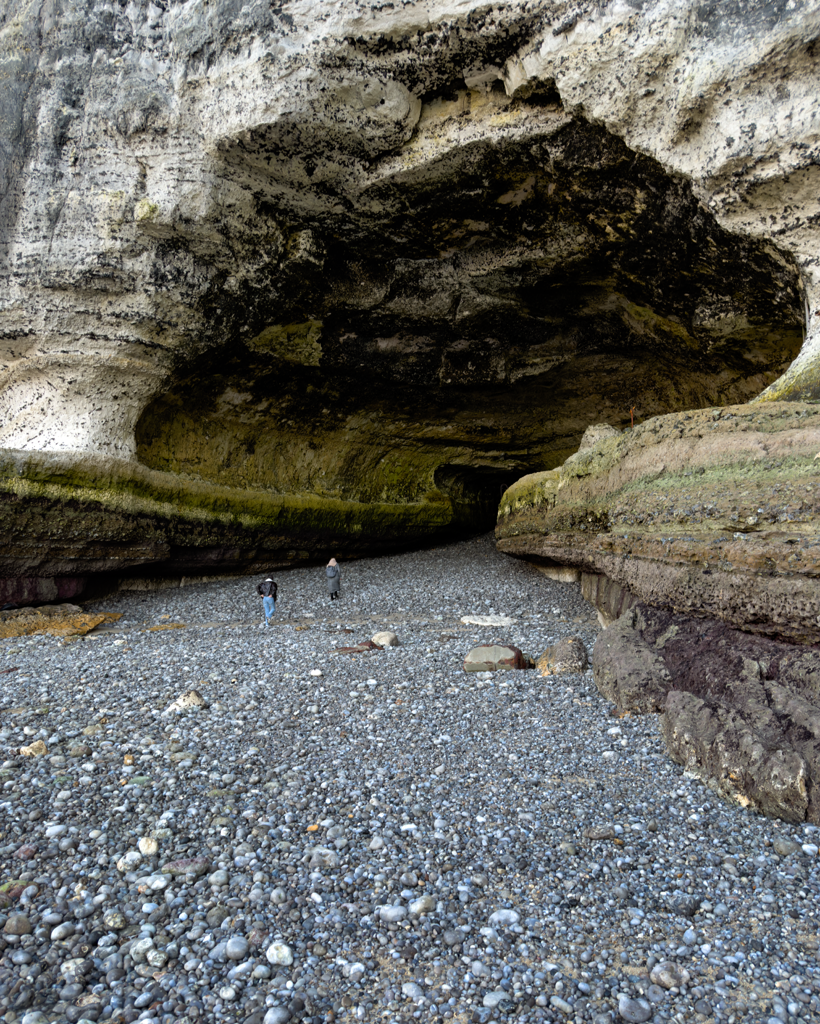 IMG_4467_Long Edge_1639x2048_U_70.png