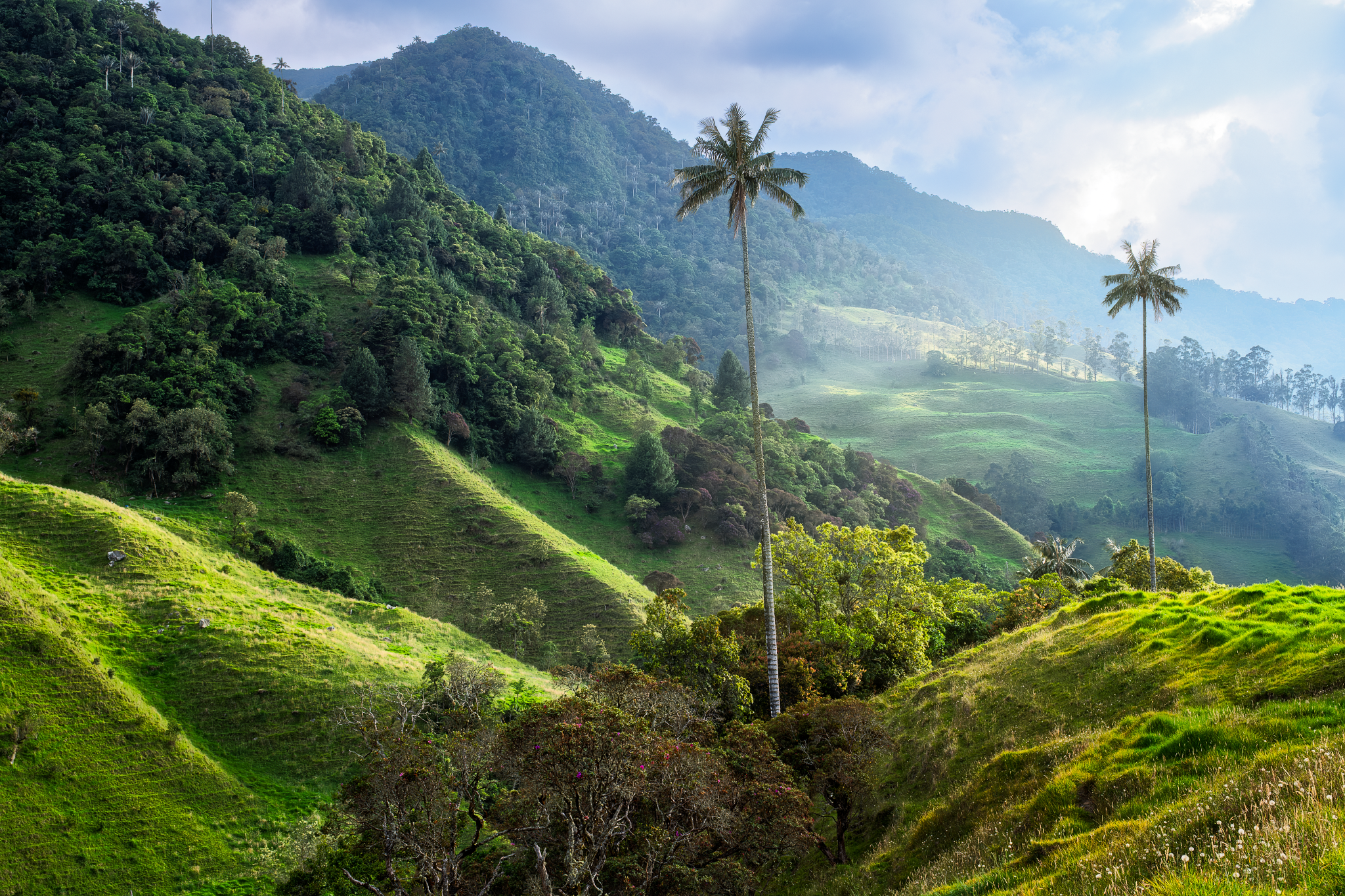 _DSF9477-17-02-2025-B_2048x1365_U_70_Long Edge-2.png