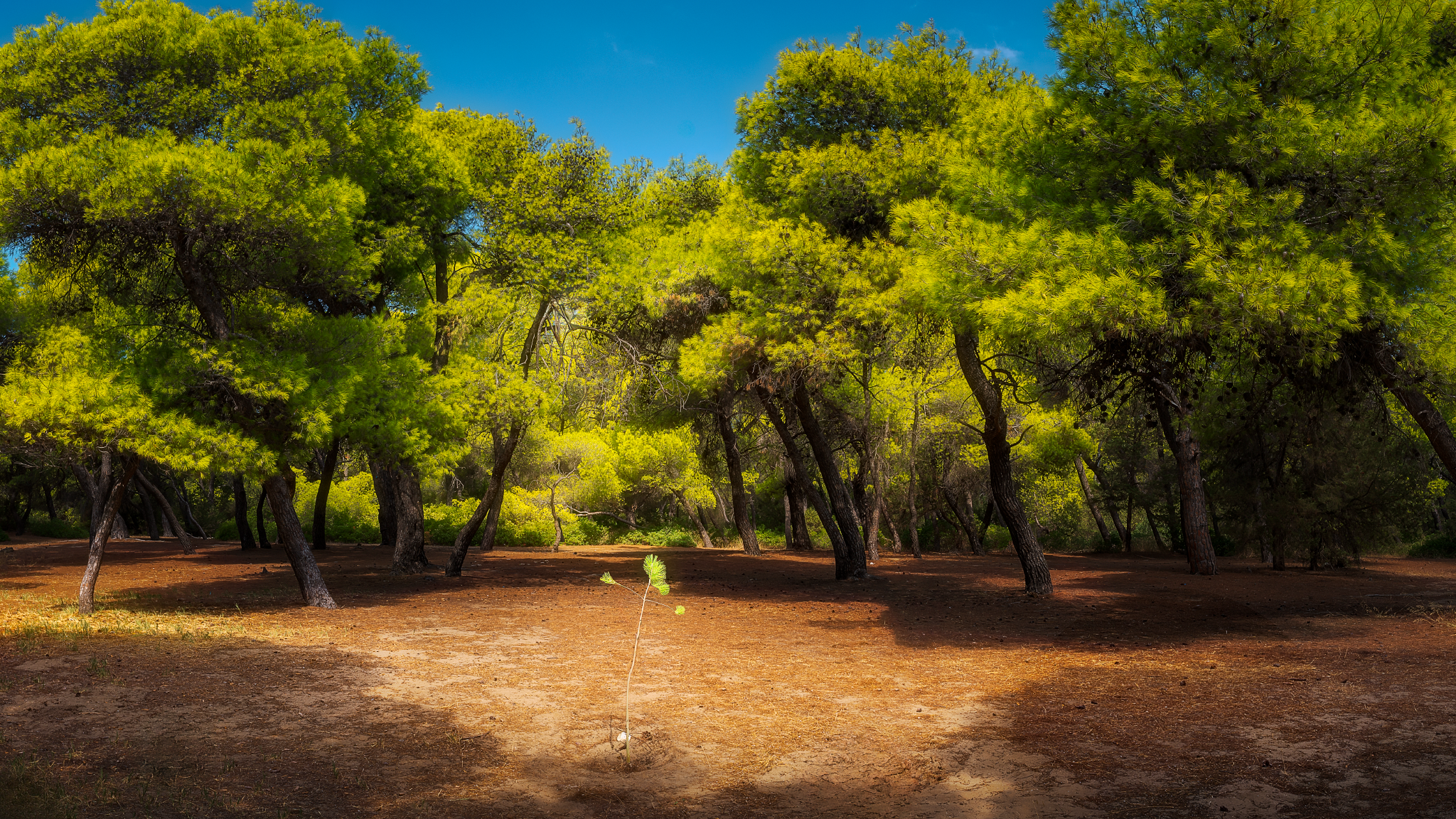 IMGP2726-Pano-Edit-Edit-2_Long Edge_2048x1152_U_70.png