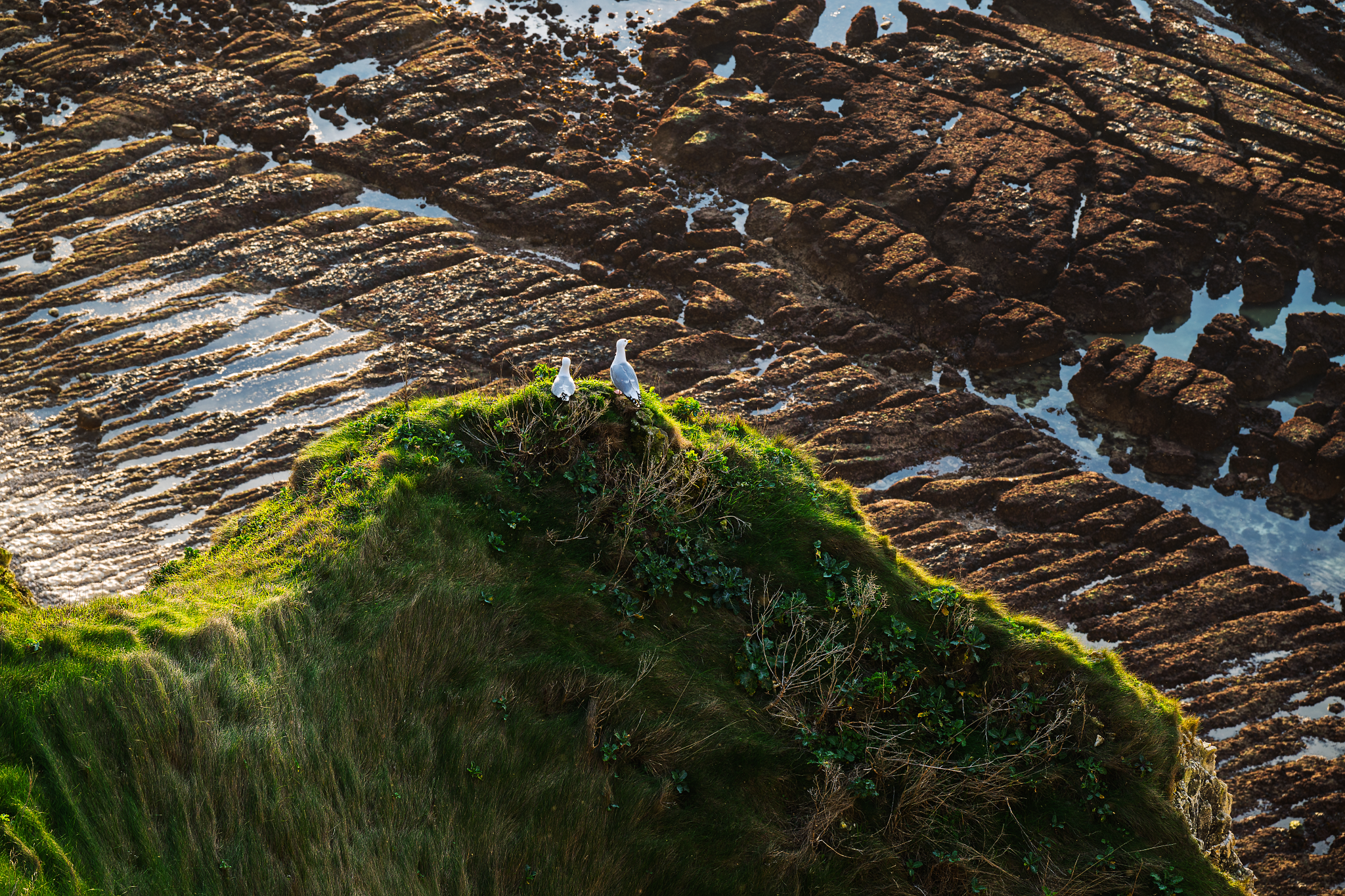 _OZ80647_Long Edge_2048x1365_U_70.png