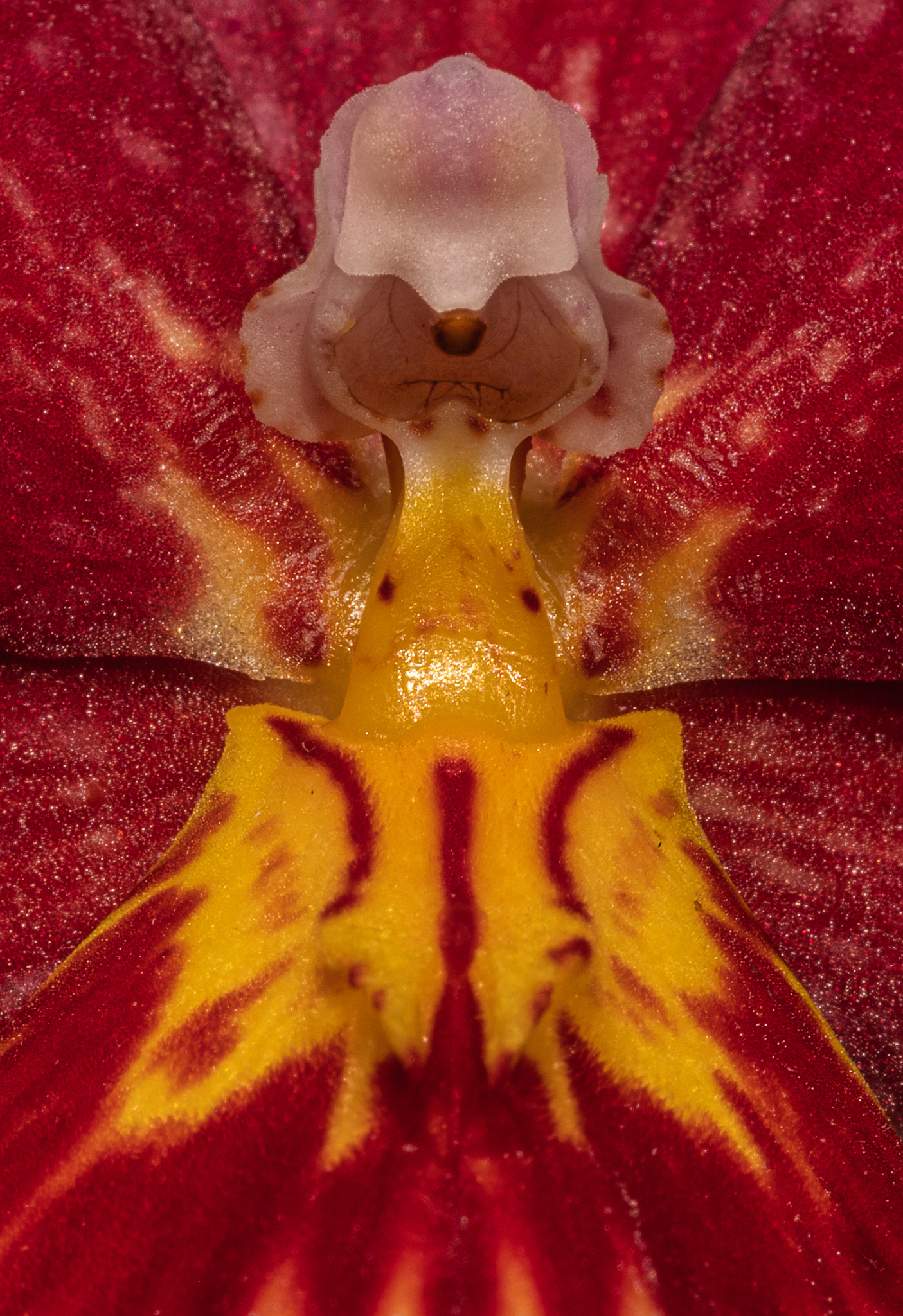 IMGP1674-Edit_Long Edge_1405x2048_U_70.png