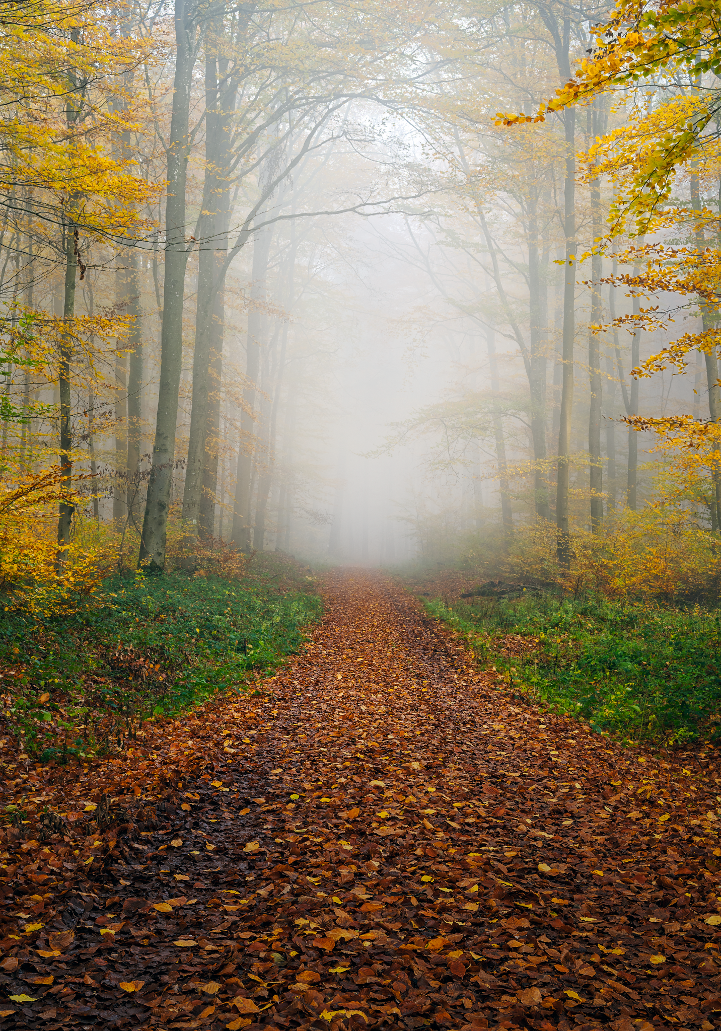 _DSC4799-Edit-OK_Long Edge_1432x2048_U_70.png