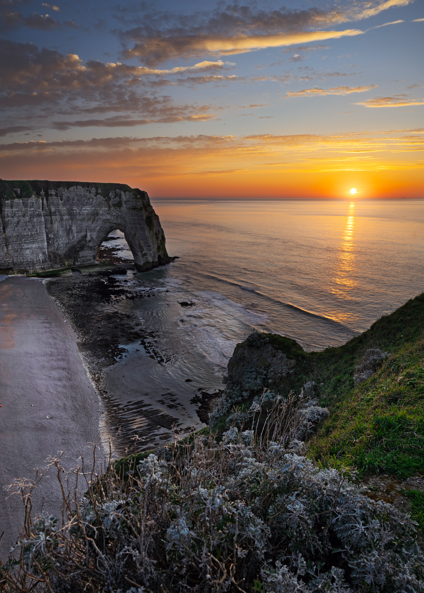 _OZ80725_Long Edge_1463x2048_U_70.png